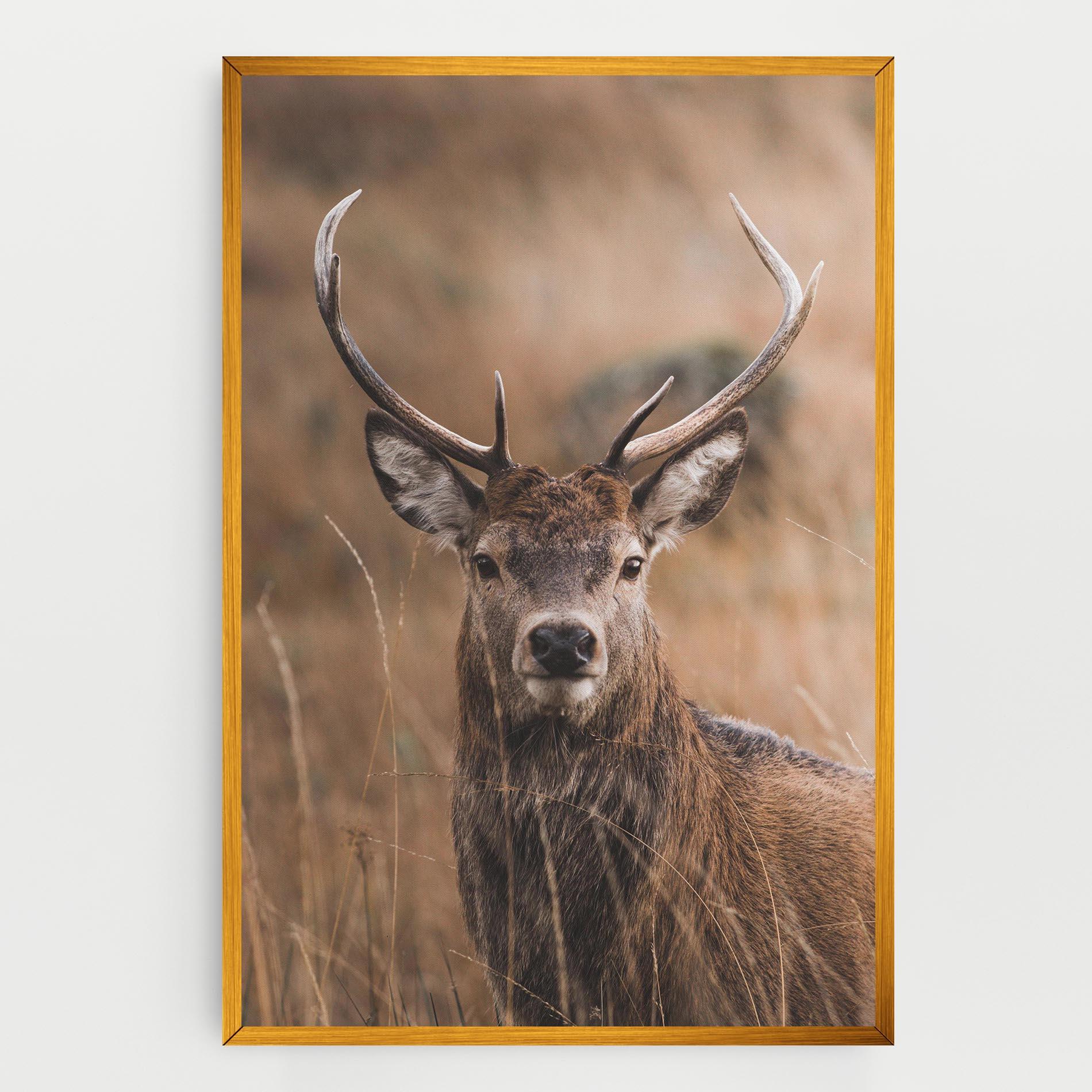 Tablou Canvas Majestic Deer mockup 0