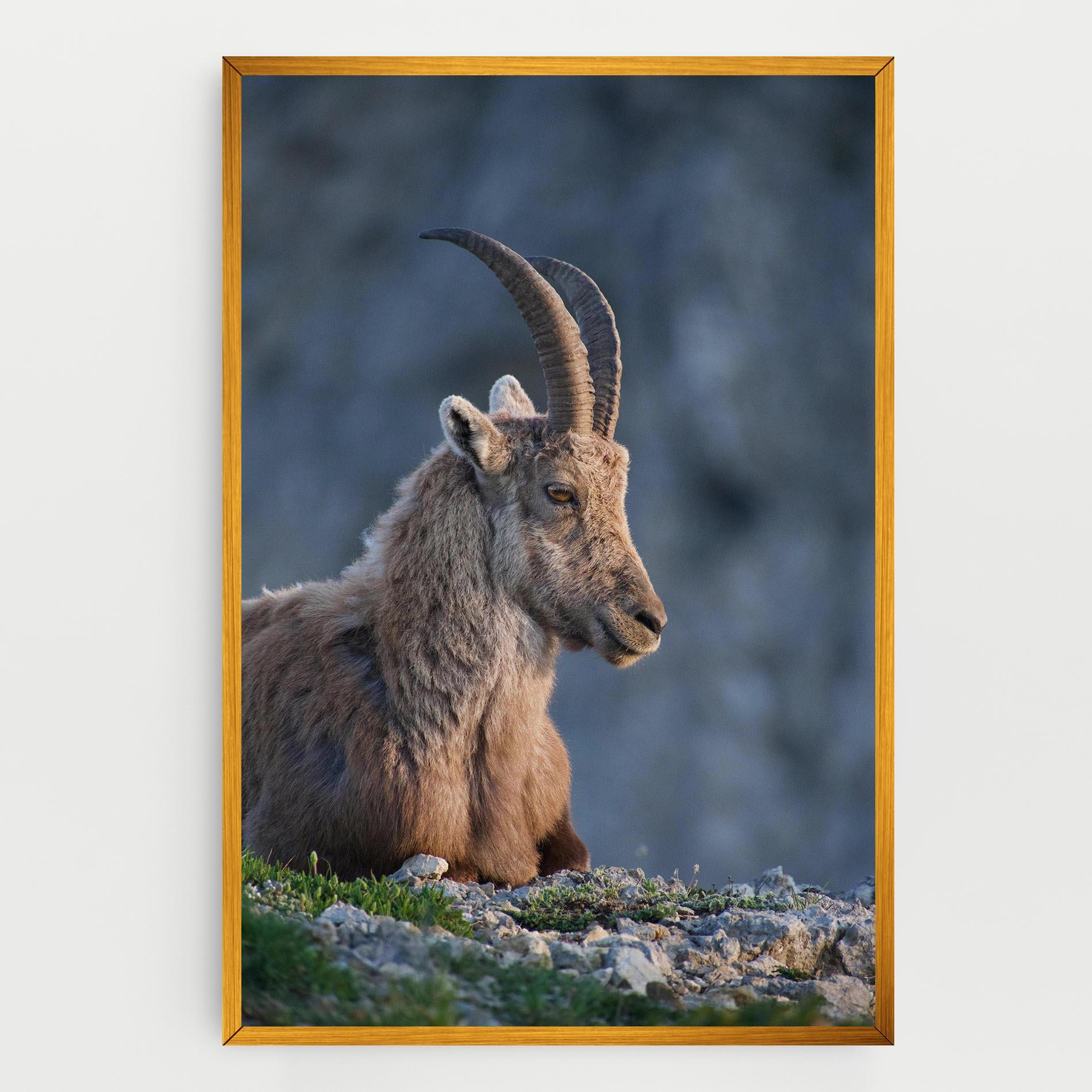 Tablou Canvas Mountain Goat mockup 0