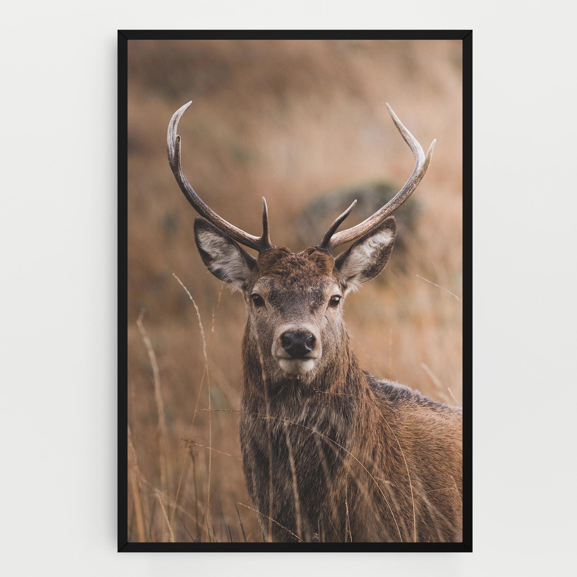 Tablou Canvas Majestic Deer mockup 0