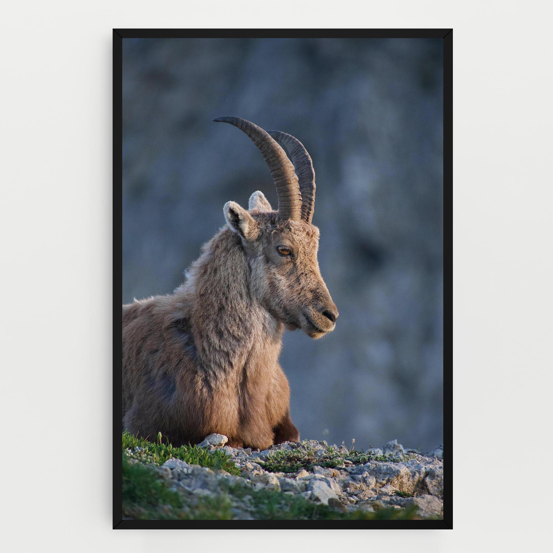Tablou Canvas Mountain Goat mockup 0