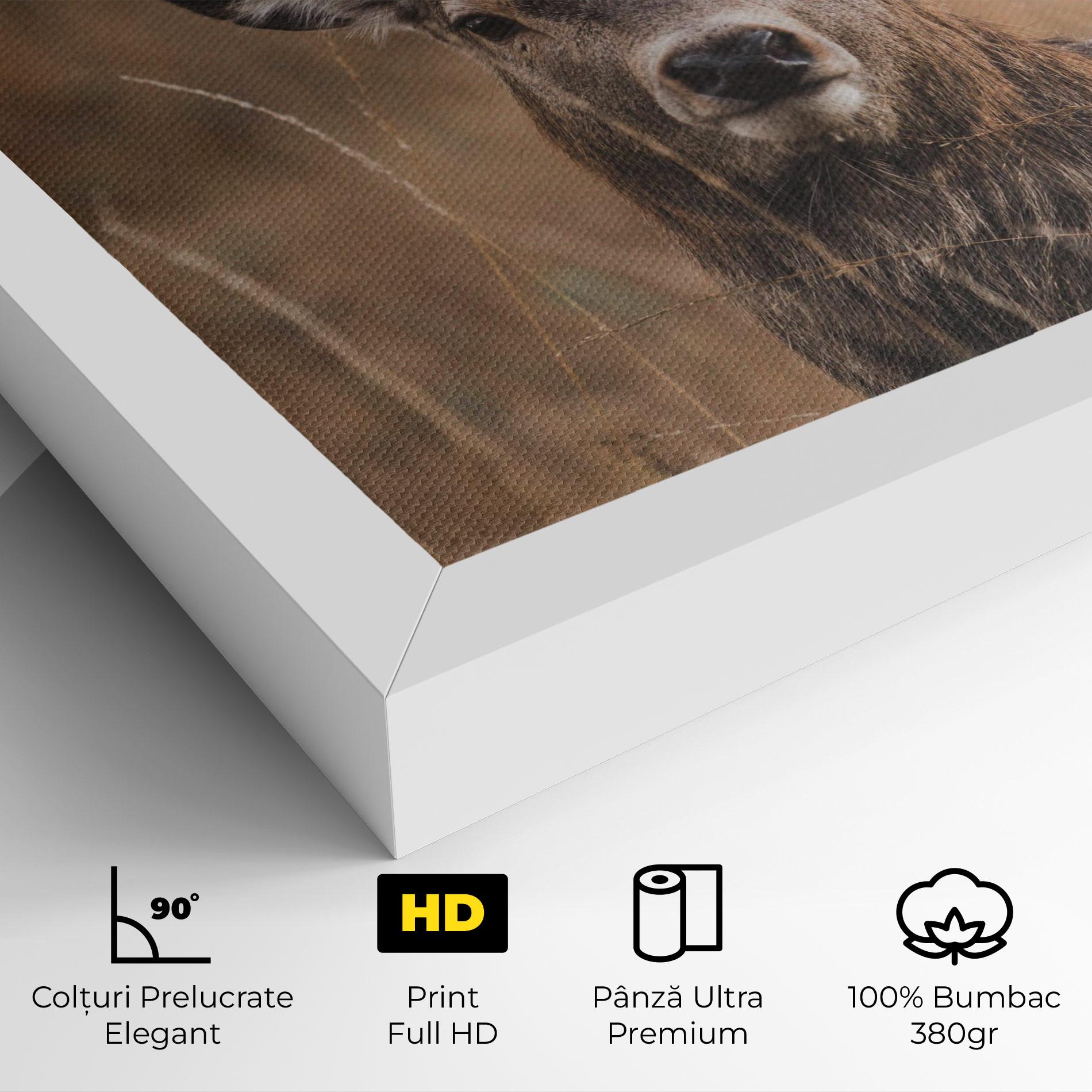 Tablou Canvas Majestic Deer mockup 4