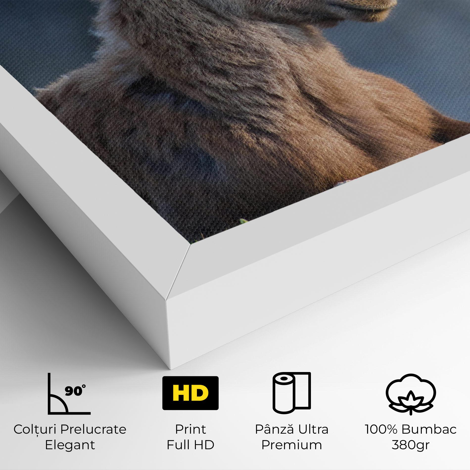 Tablou Canvas Mountain Goat mockup 4