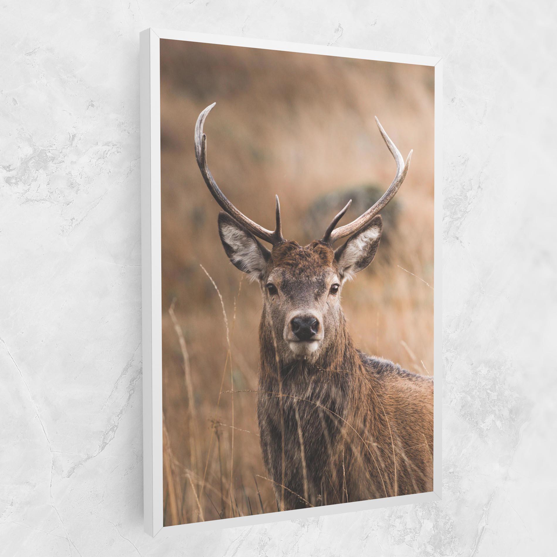 Tablou Canvas Majestic Deer mockup 1