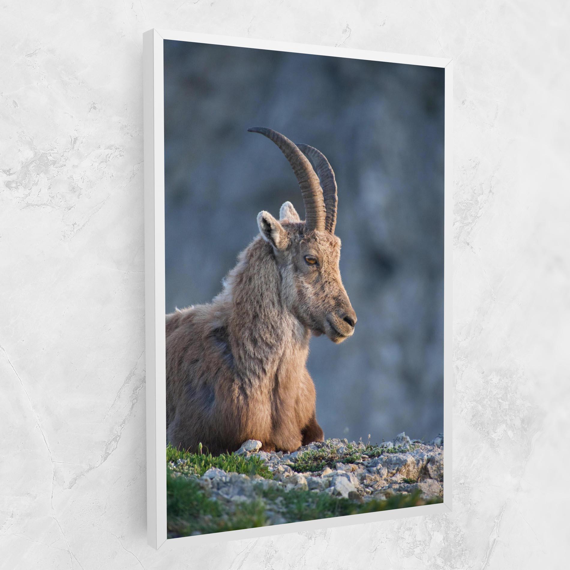 Tablou Canvas Mountain Goat mockup 1