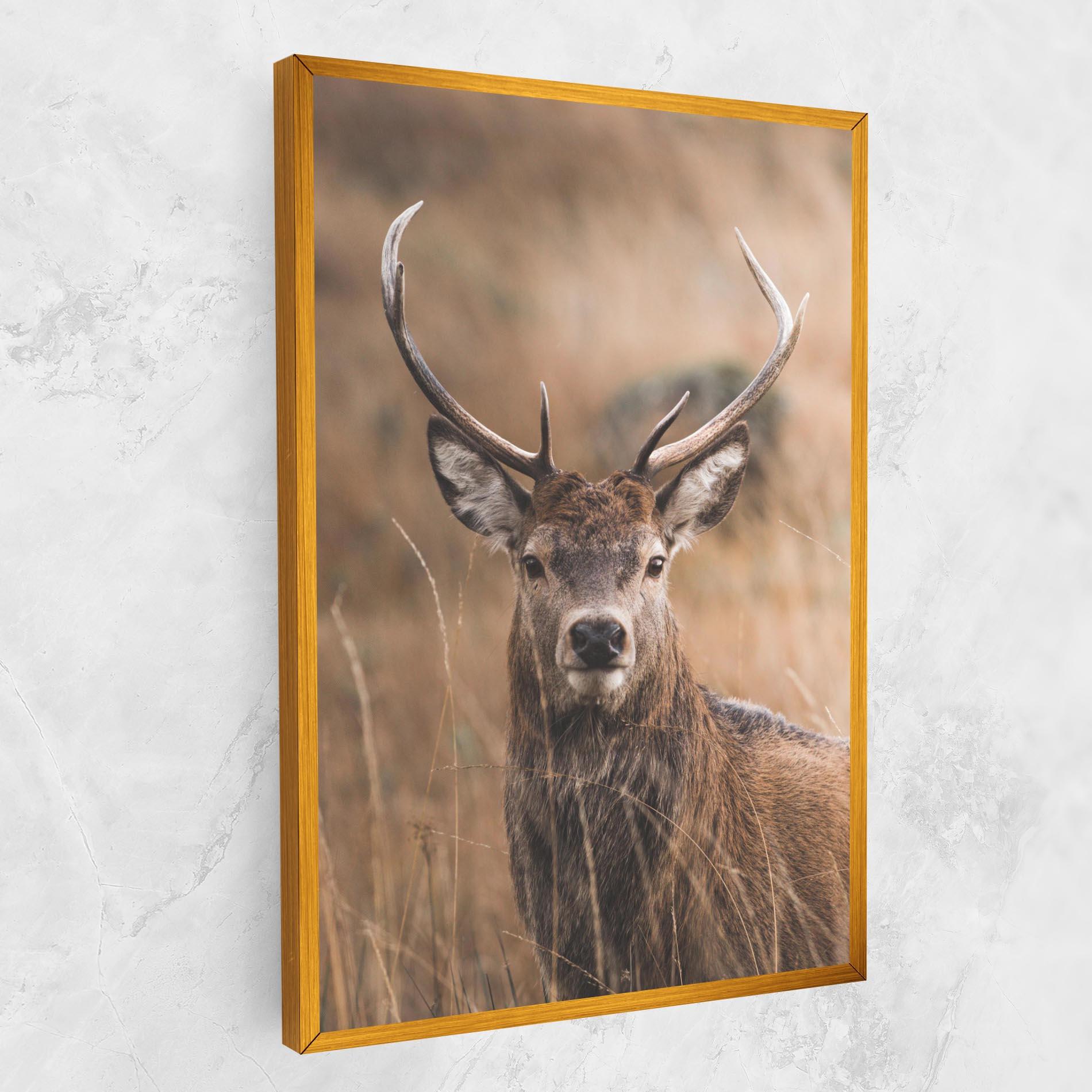 Tablou Canvas Majestic Deer mockup 1