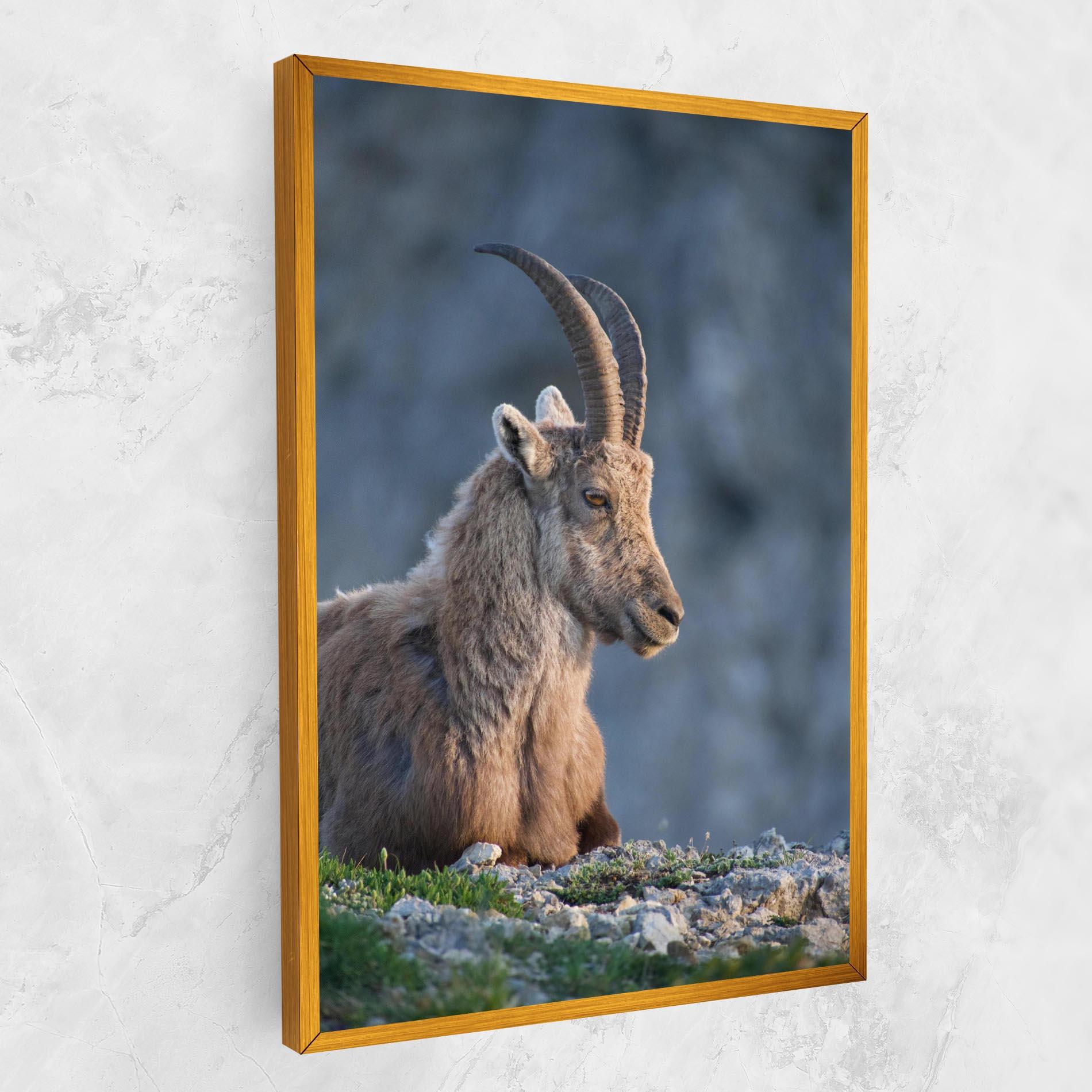 Tablou Canvas Mountain Goat mockup 1