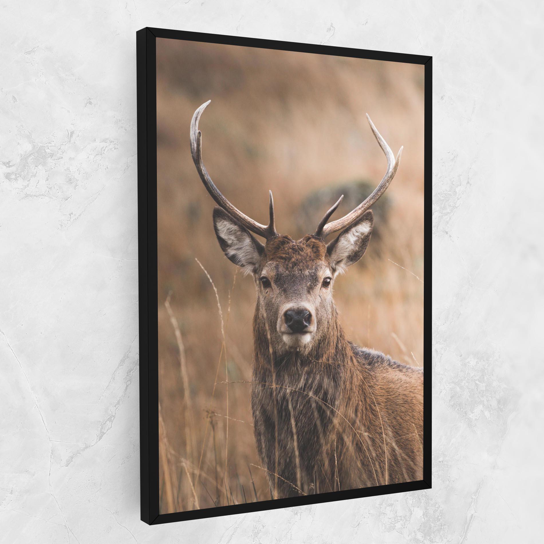 Tablou Canvas Majestic Deer mockup 1