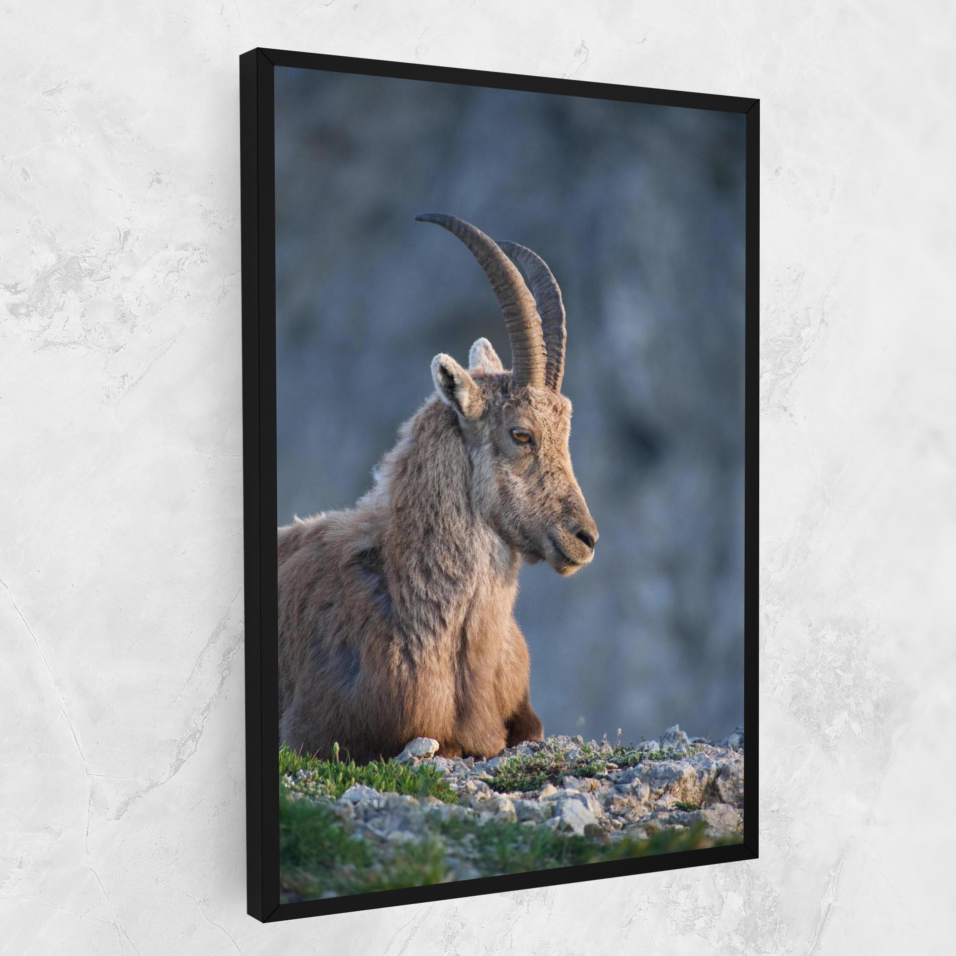 Tablou Canvas Mountain Goat mockup 1