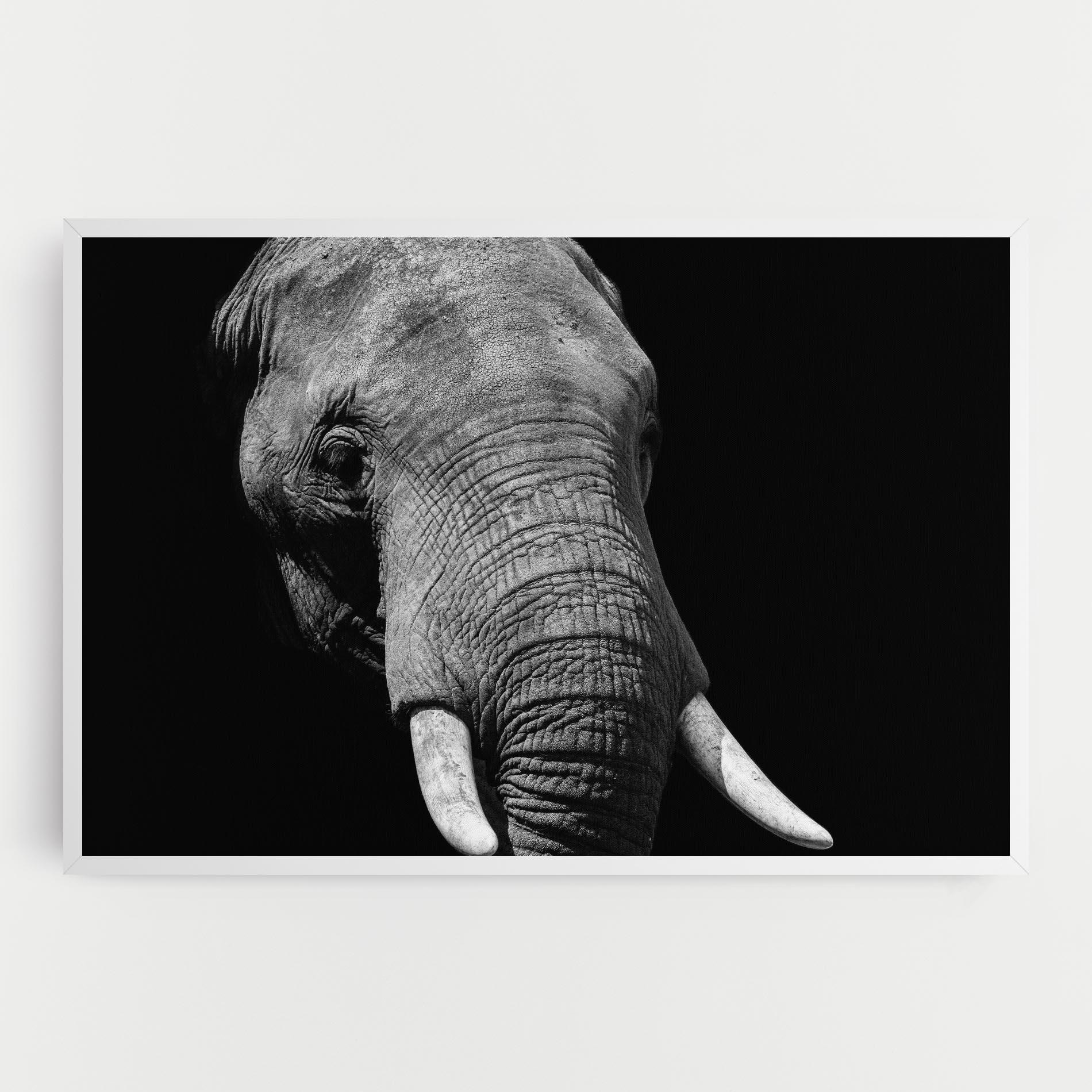 Tablou Canvas Shadow Elephant mockup 0