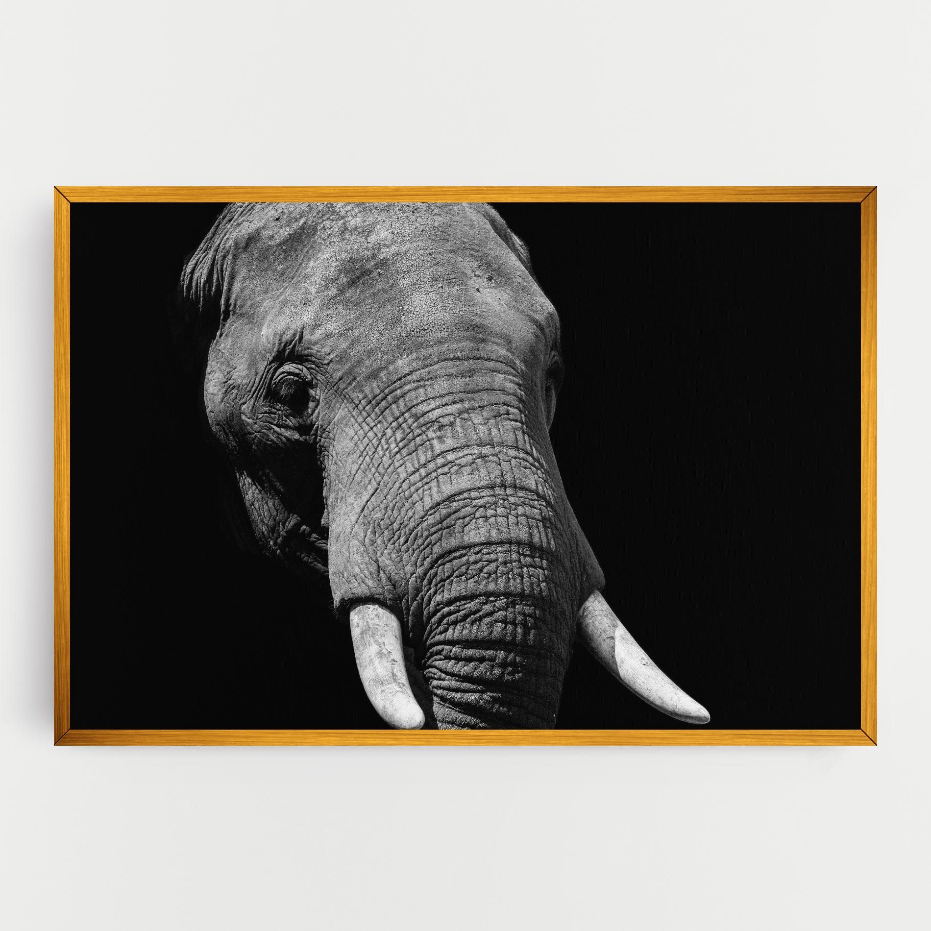 Shadow Elephant mockup 0