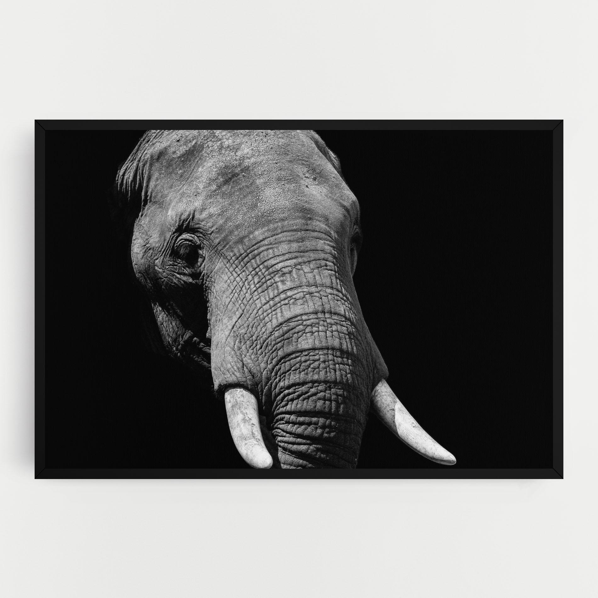 Tablou Canvas Shadow Elephant mockup 0