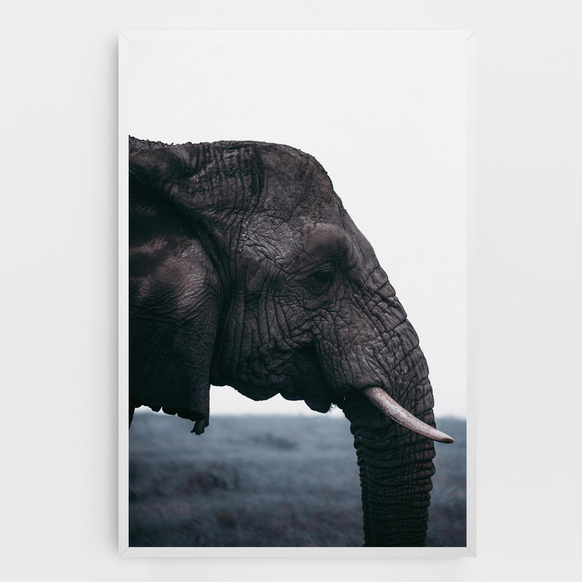 Tablou Canvas Close Grey Eelephant mockup 0