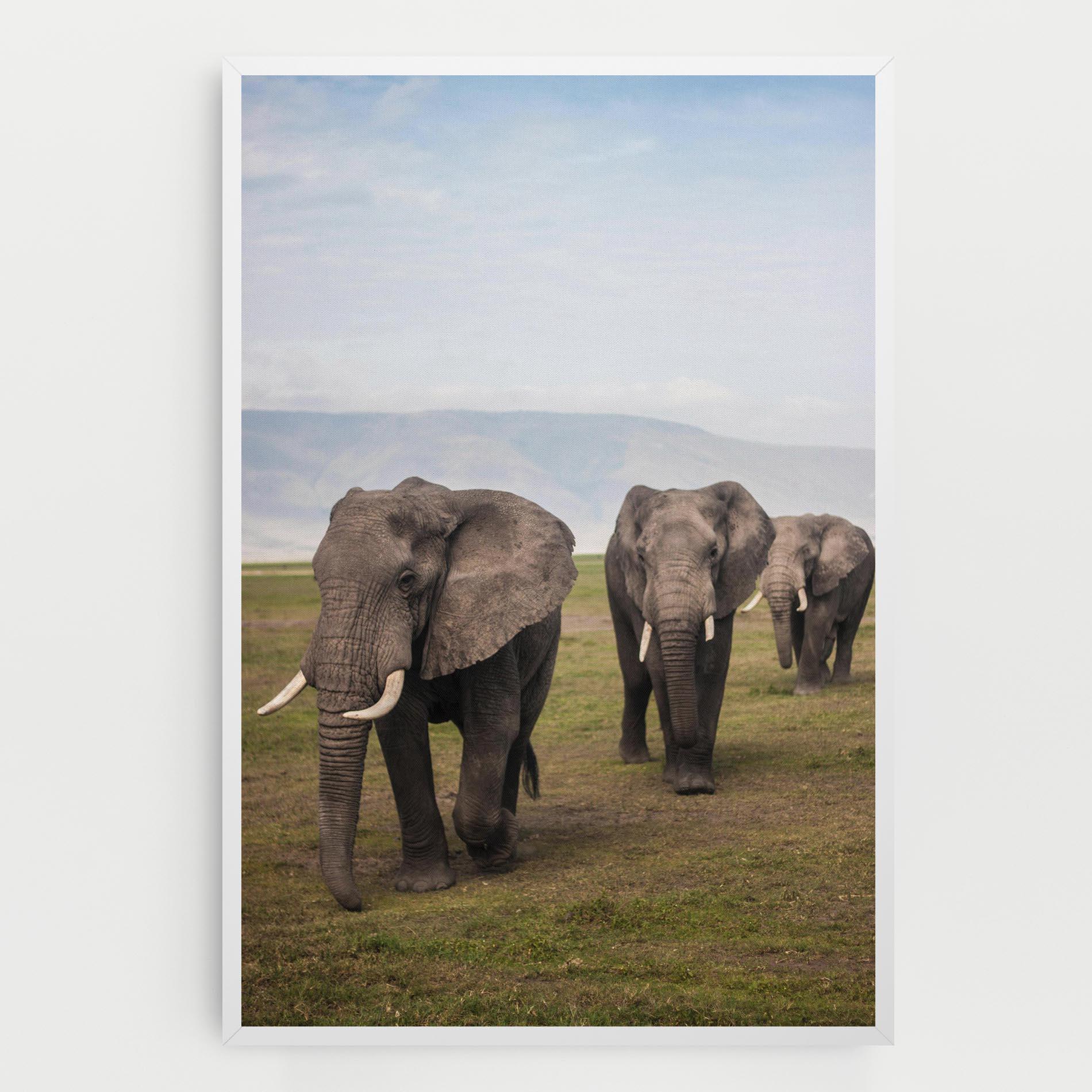 Tablou Canvas Elephant Landscape mockup 0