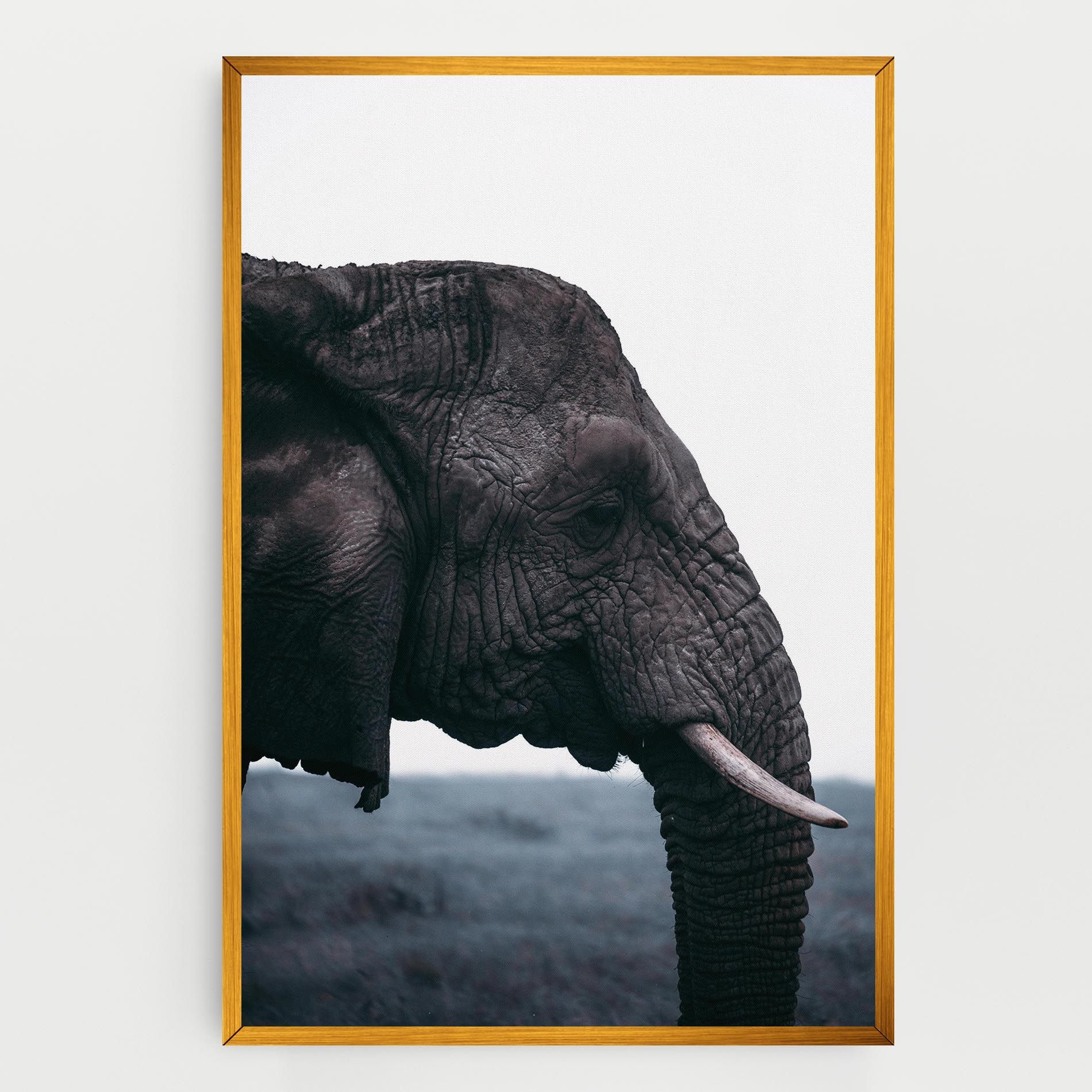 Close Grey Eelephant mockup 0