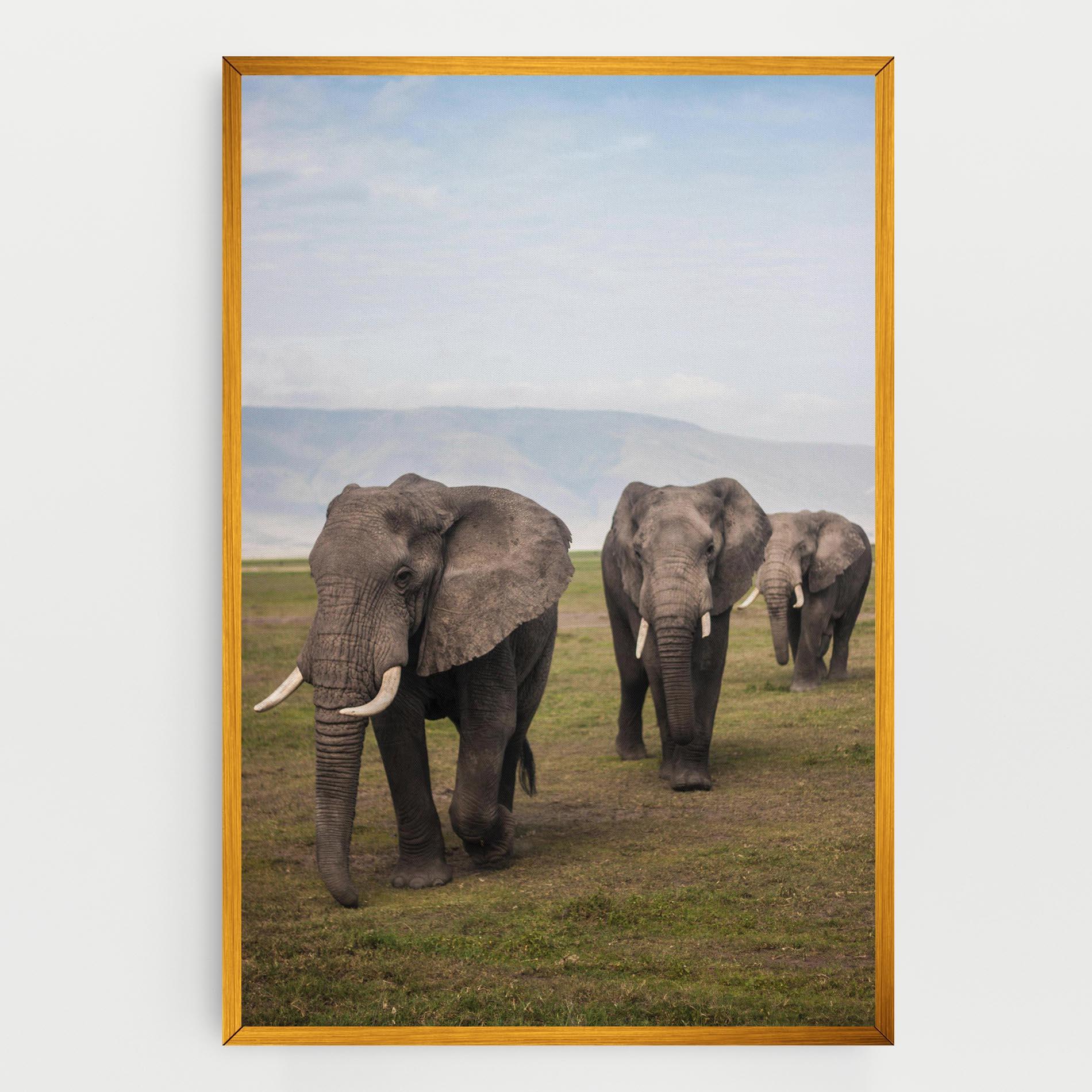 Tablou Canvas Elephant Landscape mockup 0