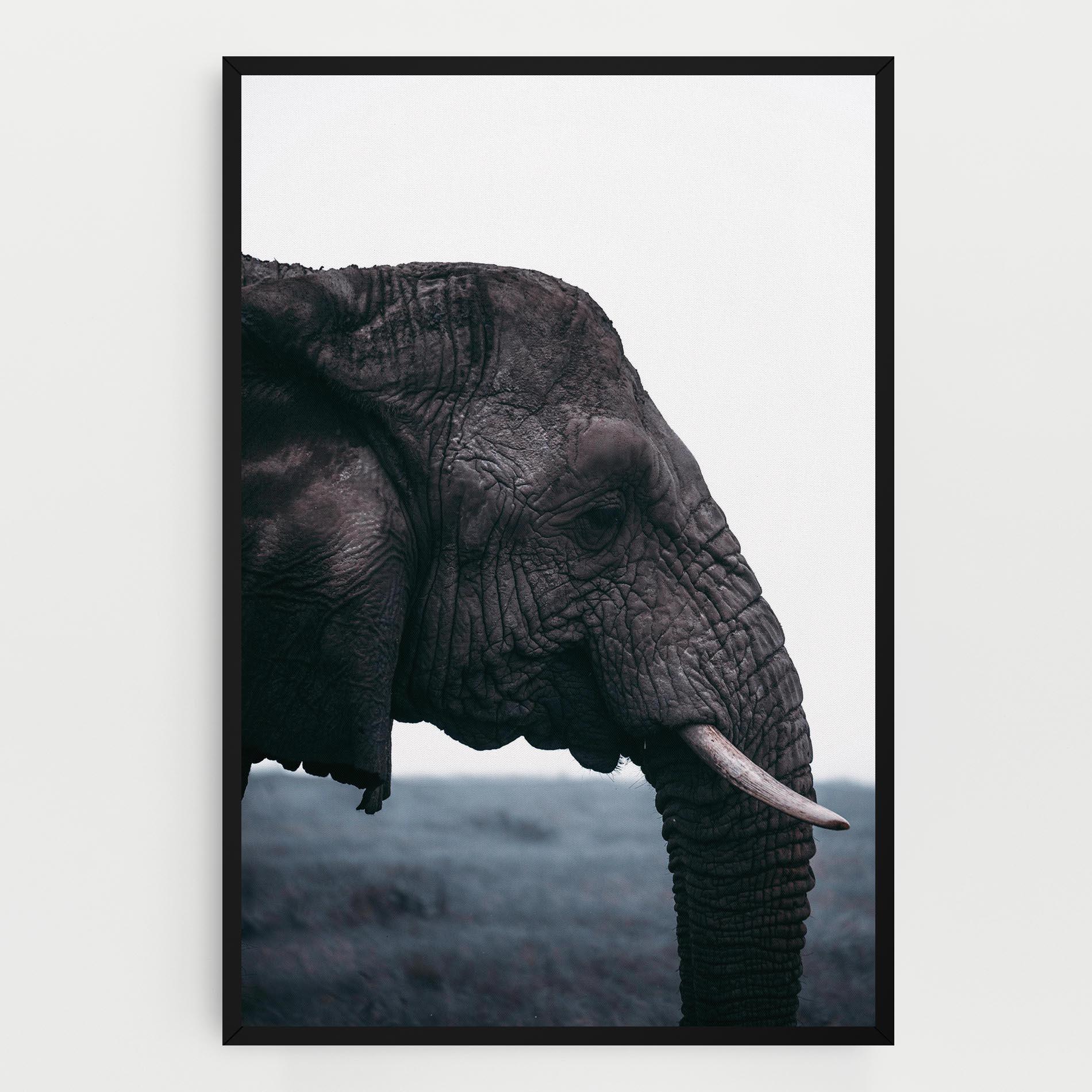 Tablou Canvas Close Grey Eelephant mockup 0