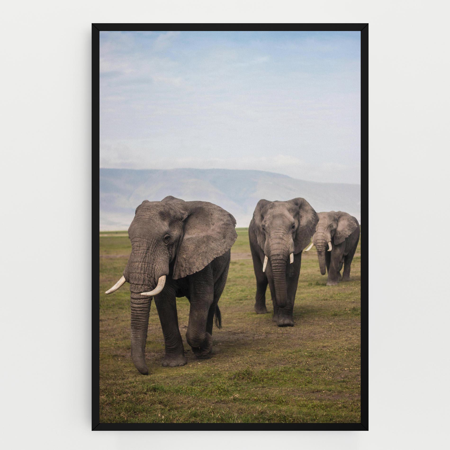 Tablou Canvas Elephant Landscape mockup 0