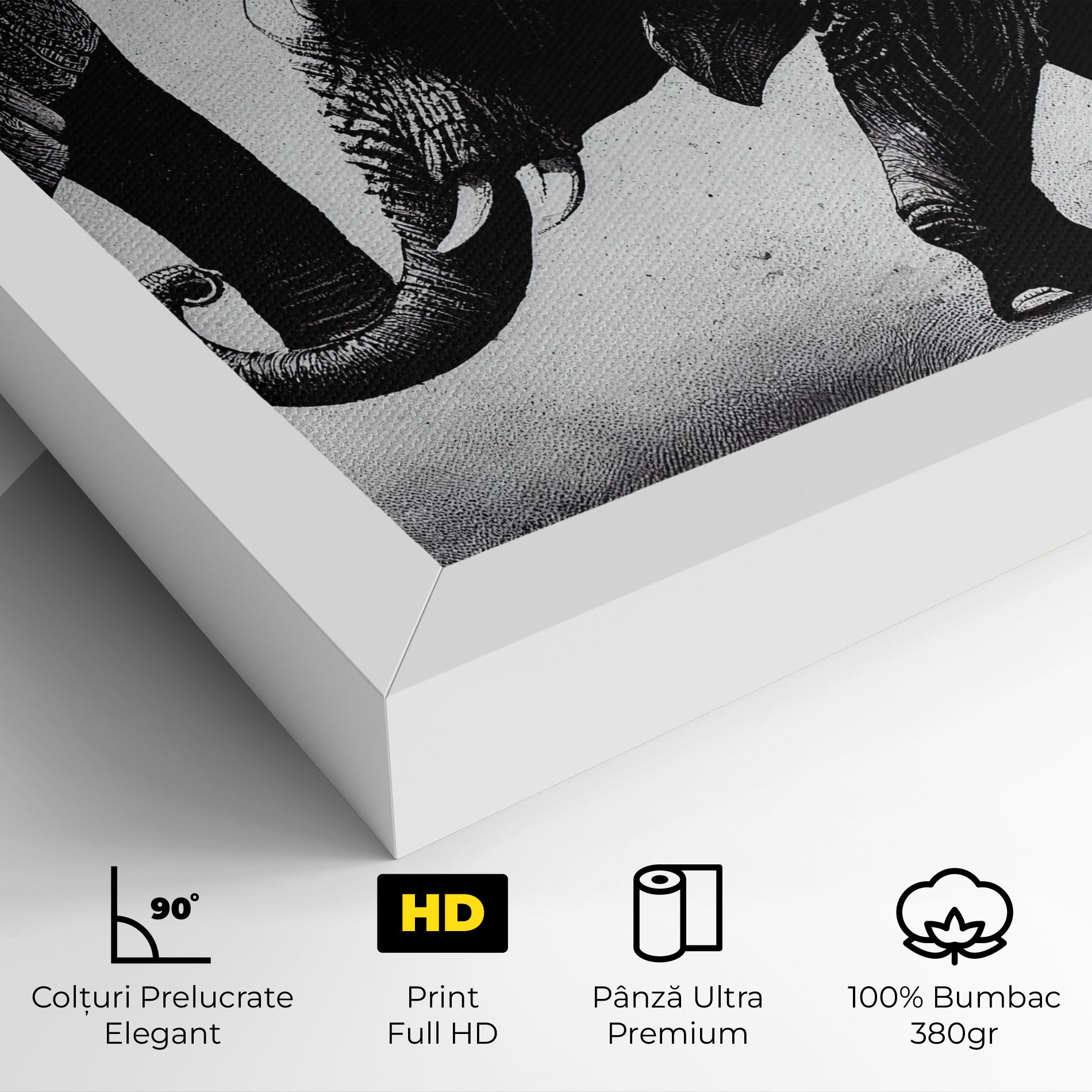 Baby Elephant mockup 4
