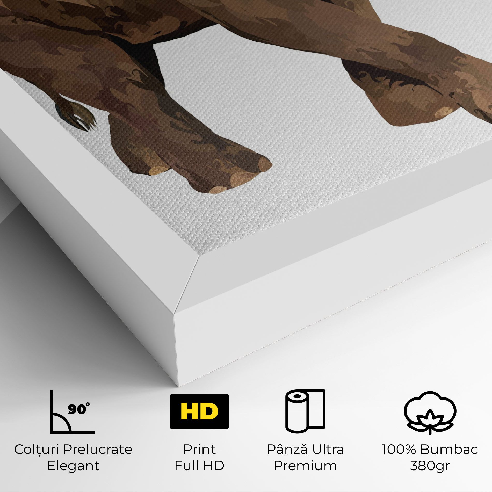 Brown Elephant mockup 4