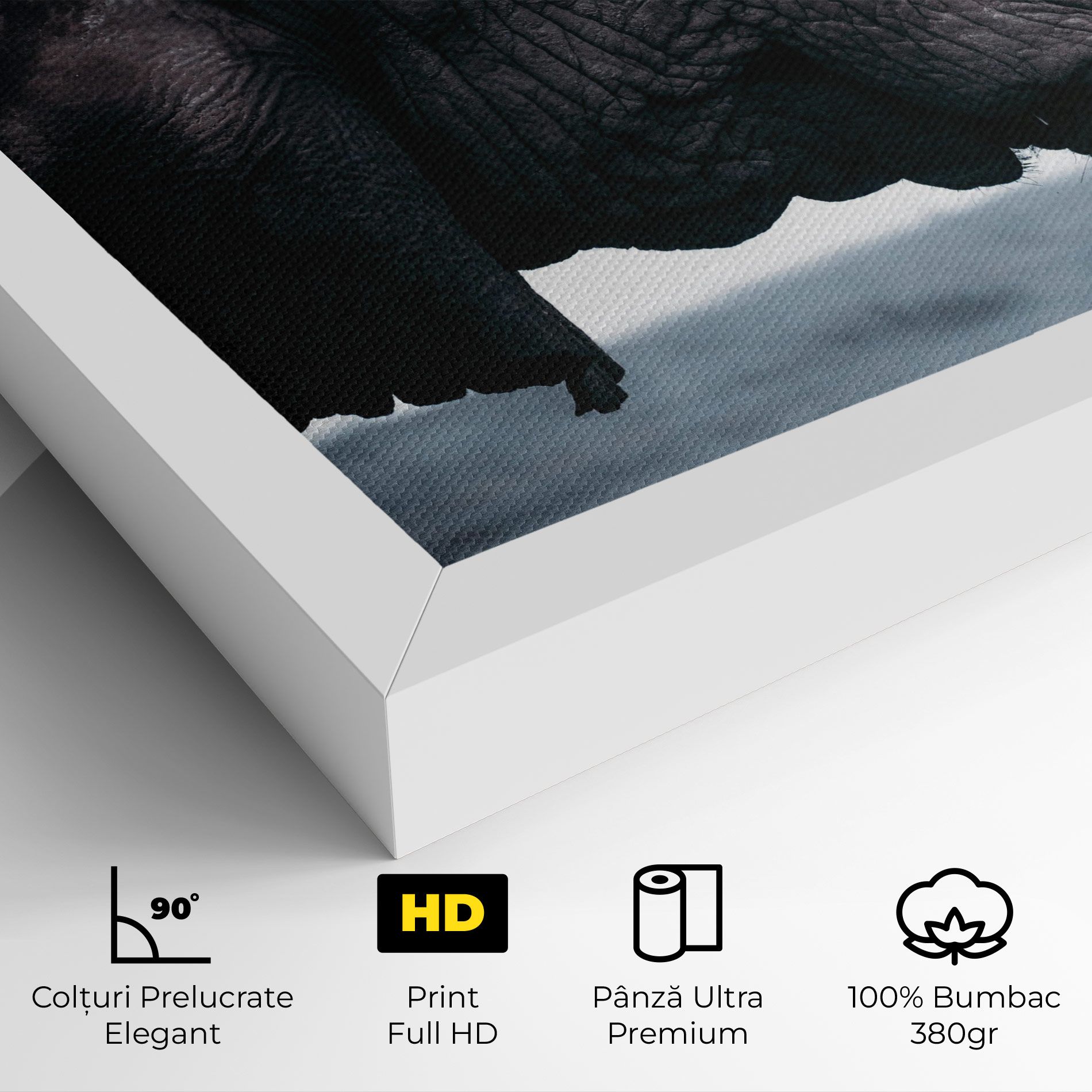 Close Grey Eelephant mockup 4