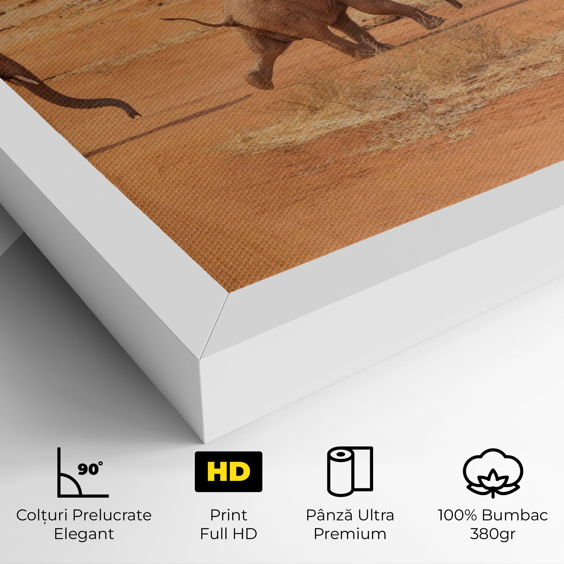 Tablou Canvas Desert Safari mockup 4