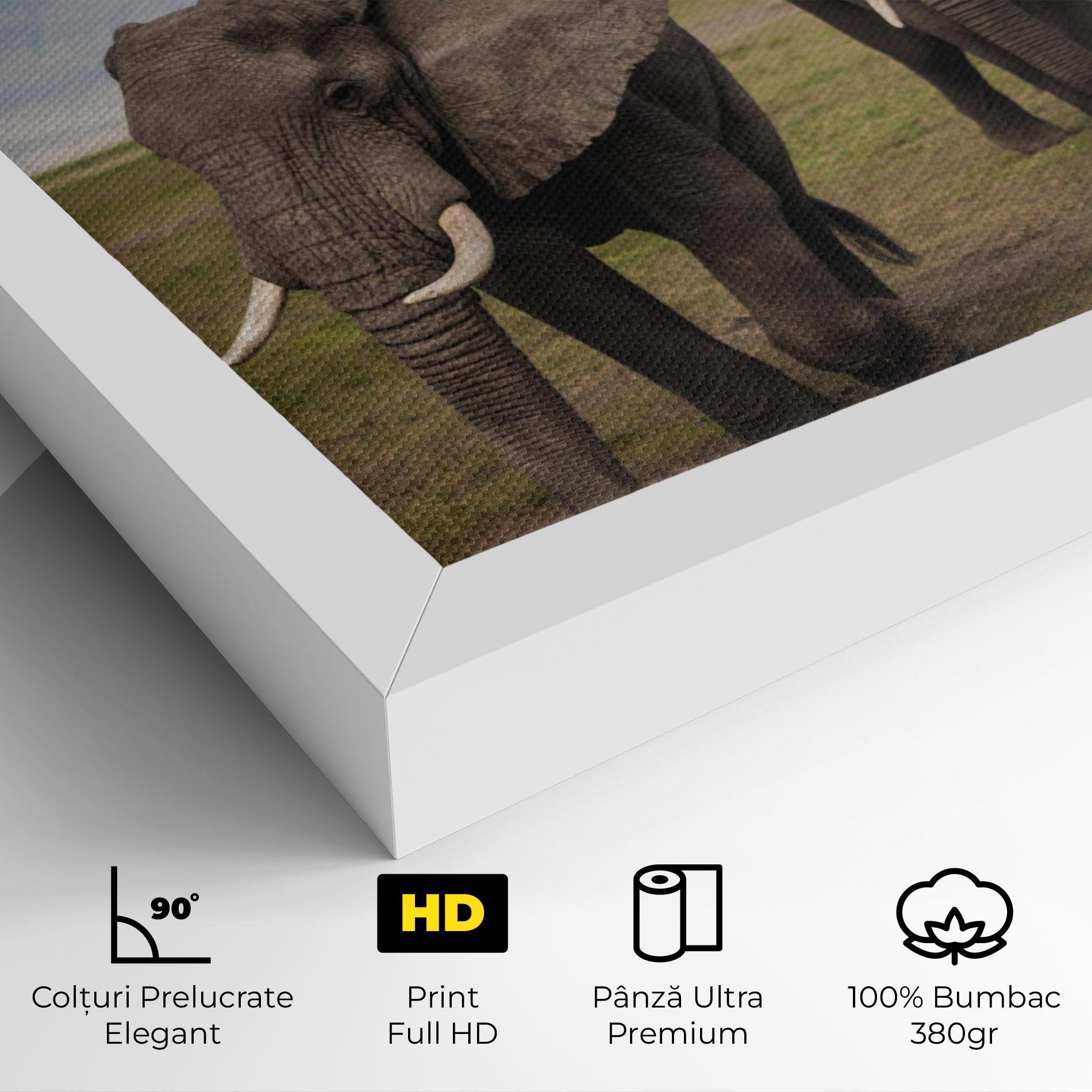 Tablou Canvas Elephant Landscape mockup 4