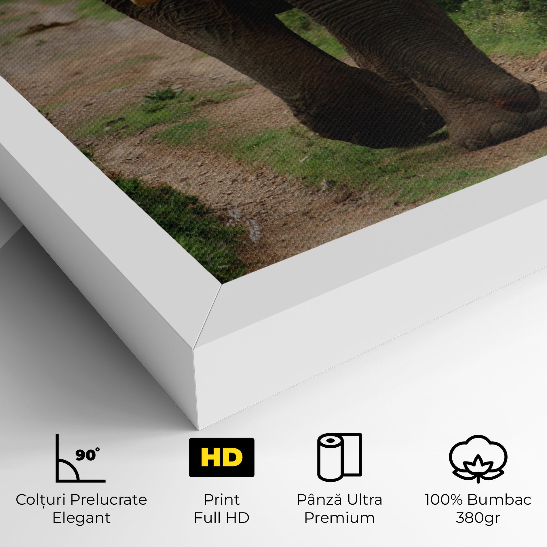 Elephant Safari mockup 4