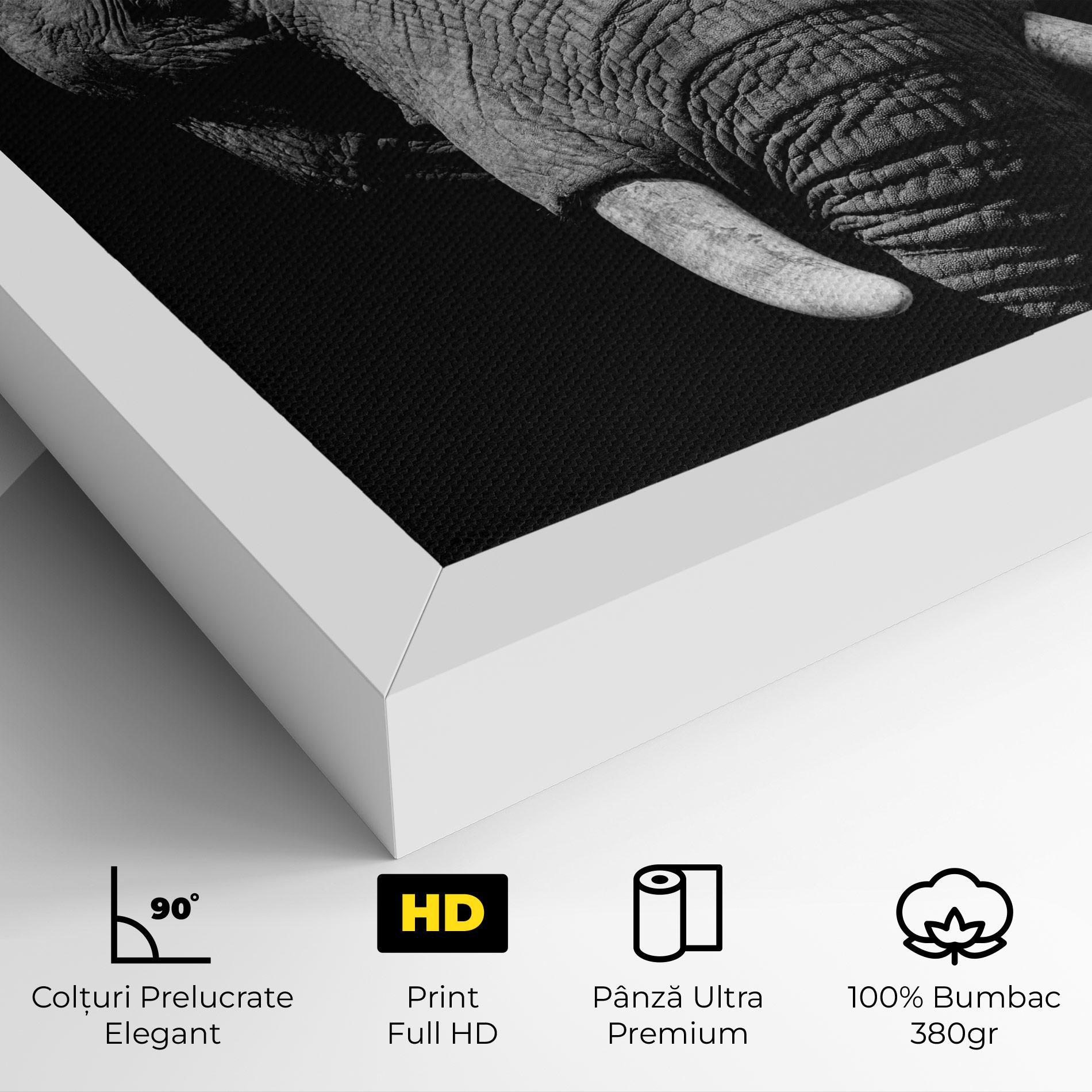 Tablou Canvas Shadow Elephant mockup 4