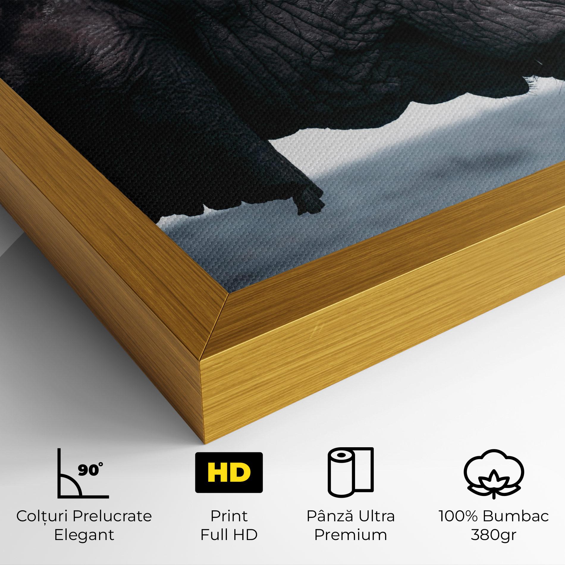 Tablou Canvas Close Grey Eelephant mockup 4