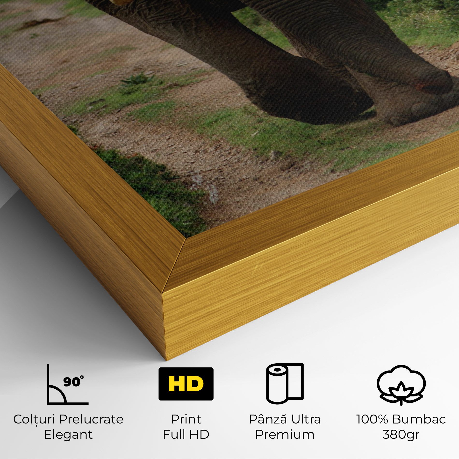 Elephant Safari mockup 4