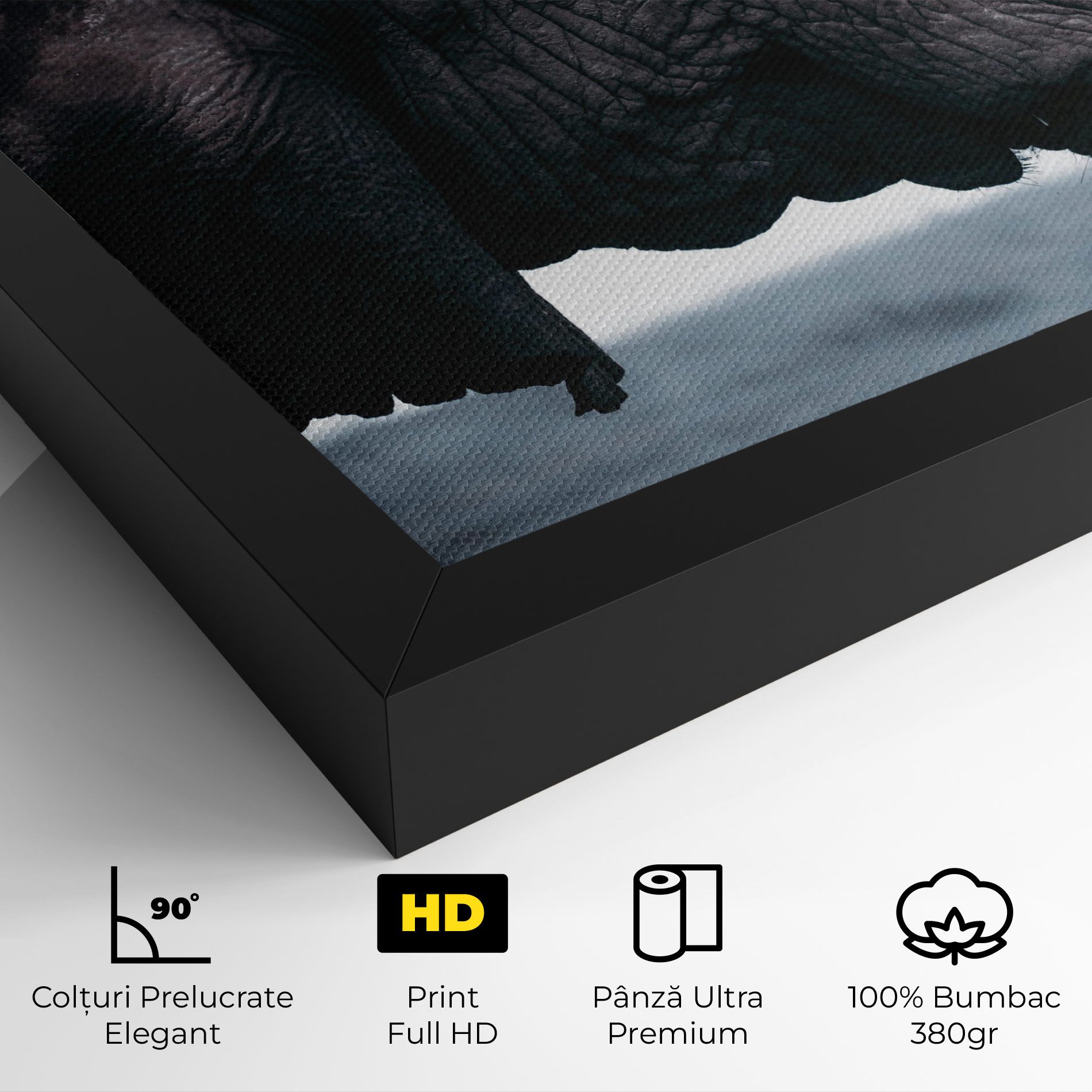 Close Grey Eelephant mockup 4