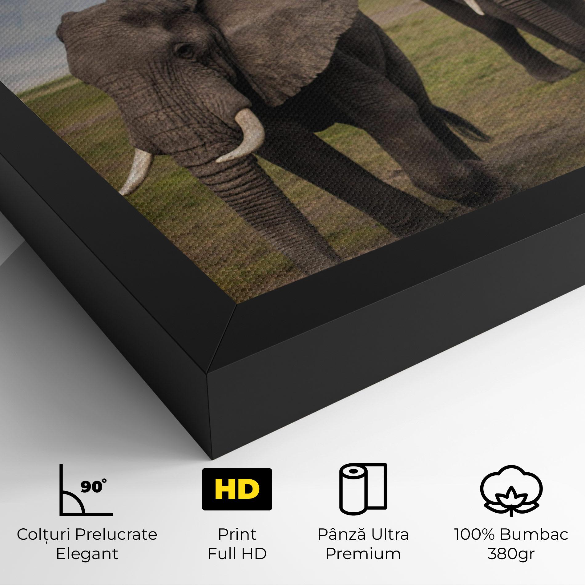 Tablou Canvas Elephant Landscape mockup 4