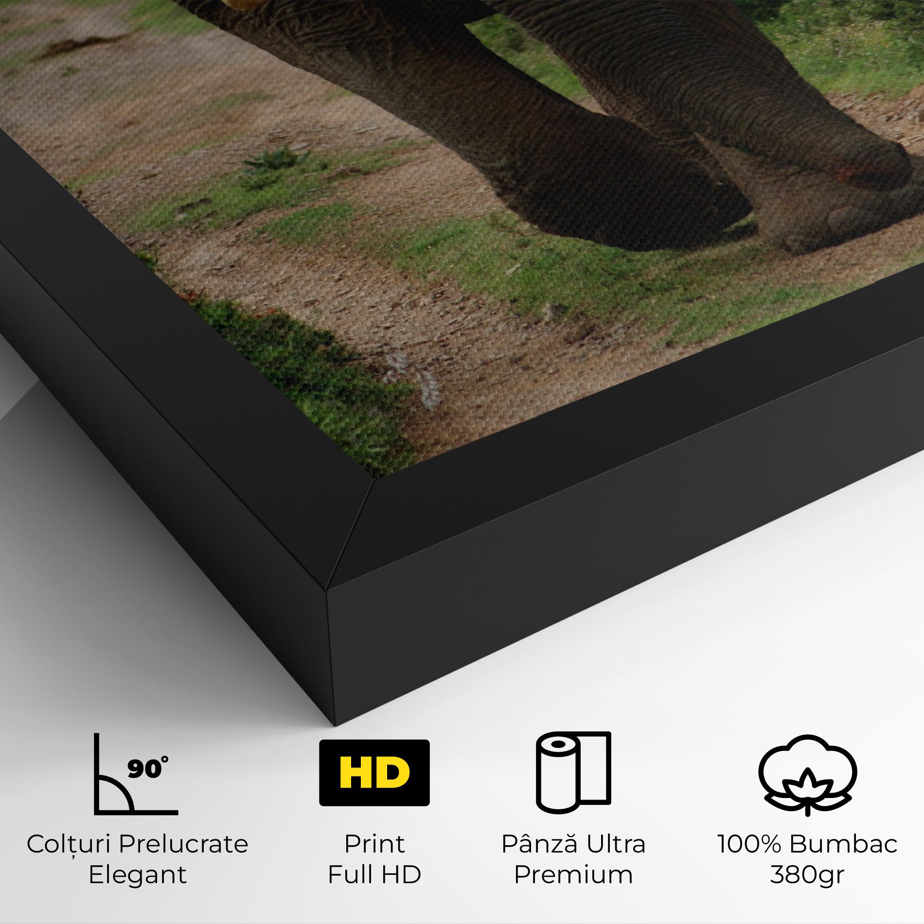 Elephant Safari mockup 4