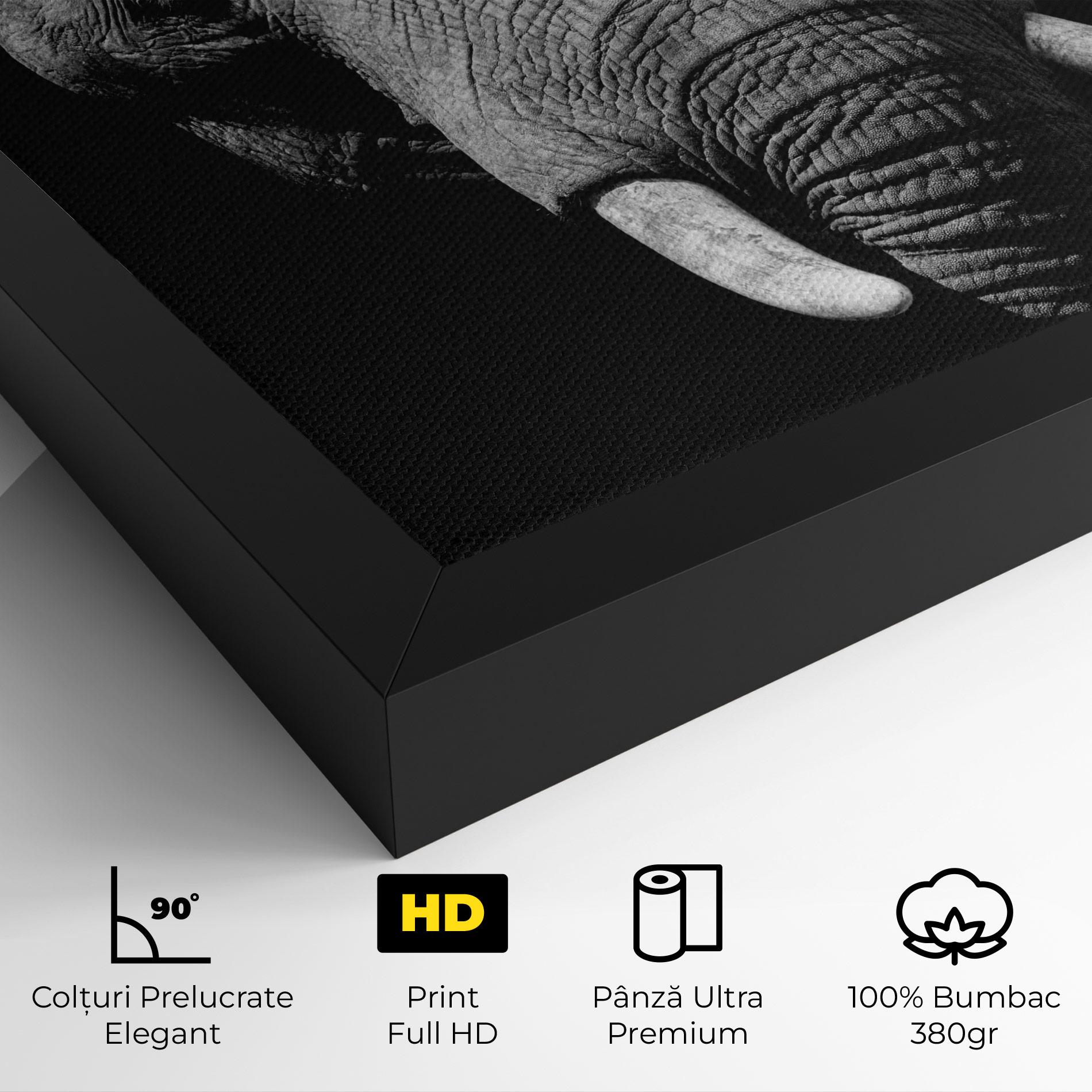 Tablou Canvas Shadow Elephant mockup 4