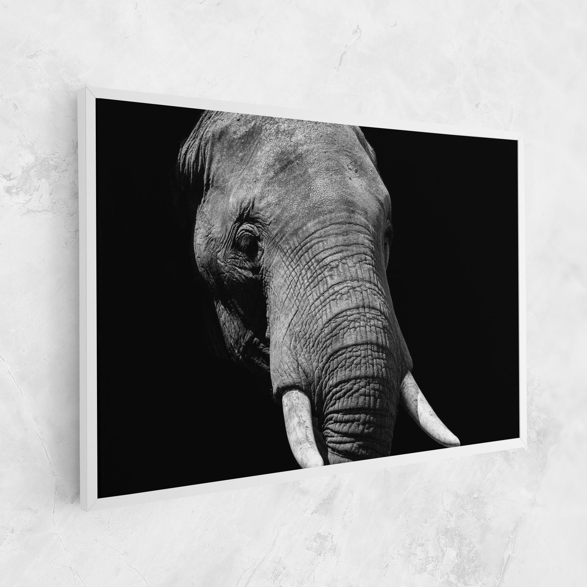 Shadow Elephant mockup 1