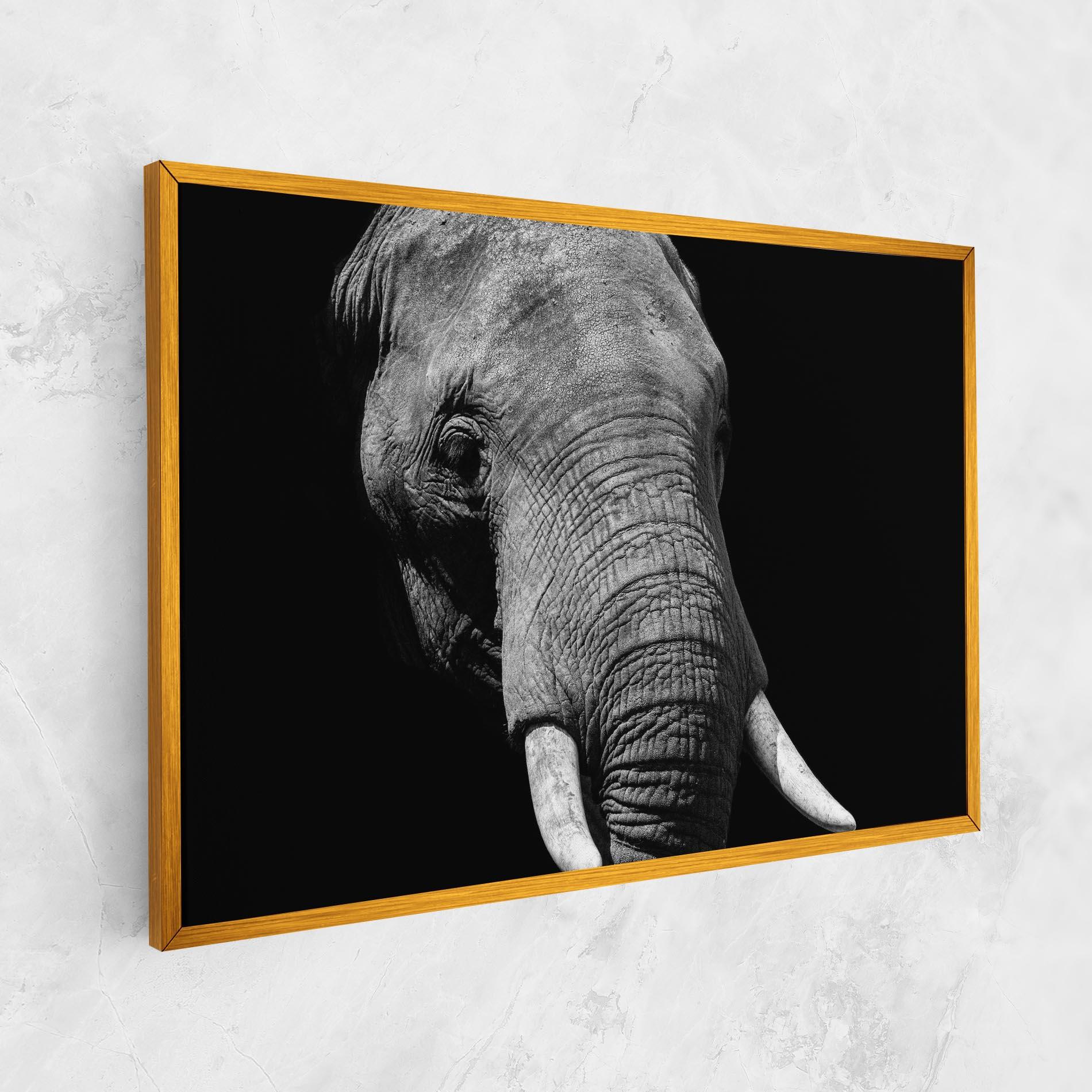 Tablou Canvas Shadow Elephant mockup 1