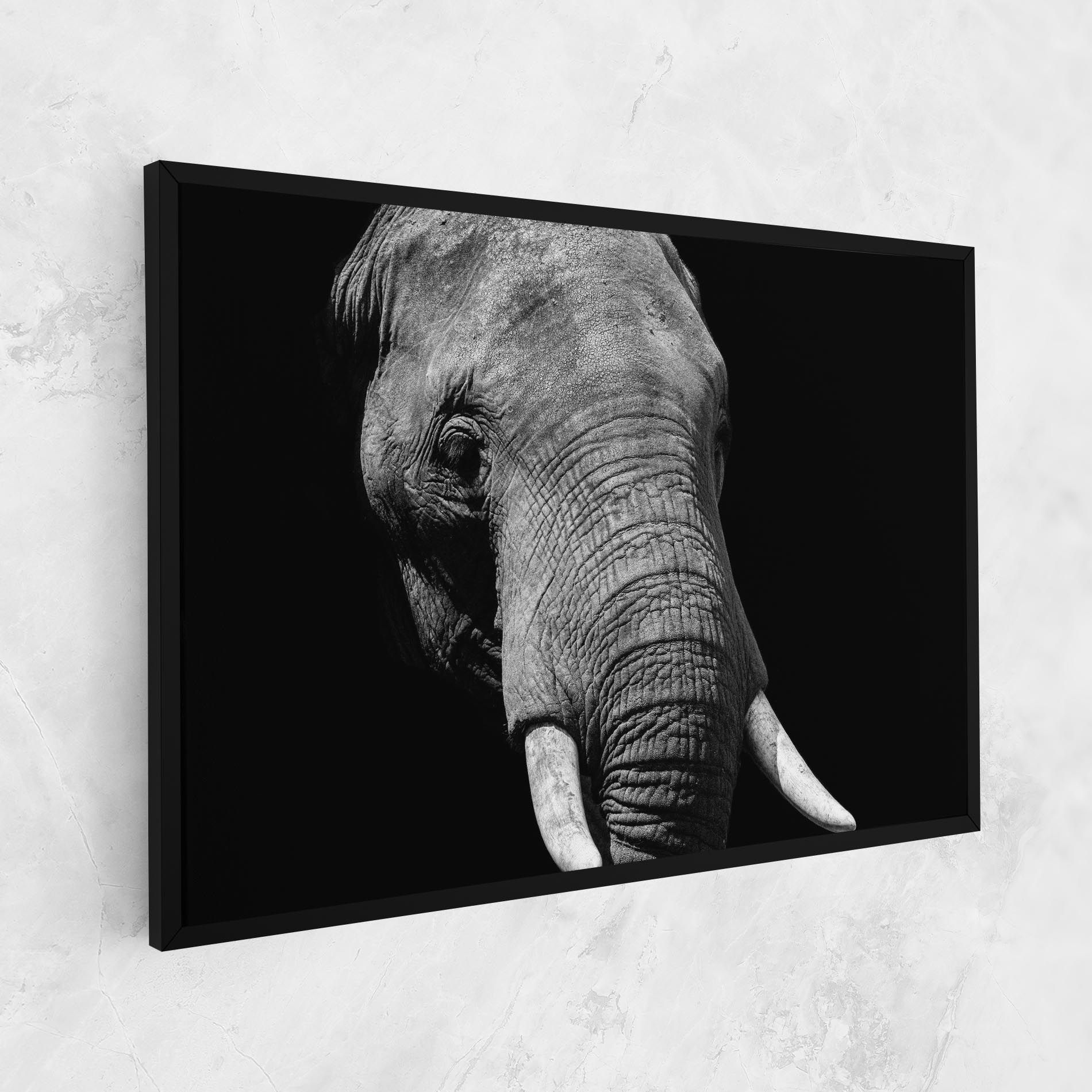 Shadow Elephant mockup 1