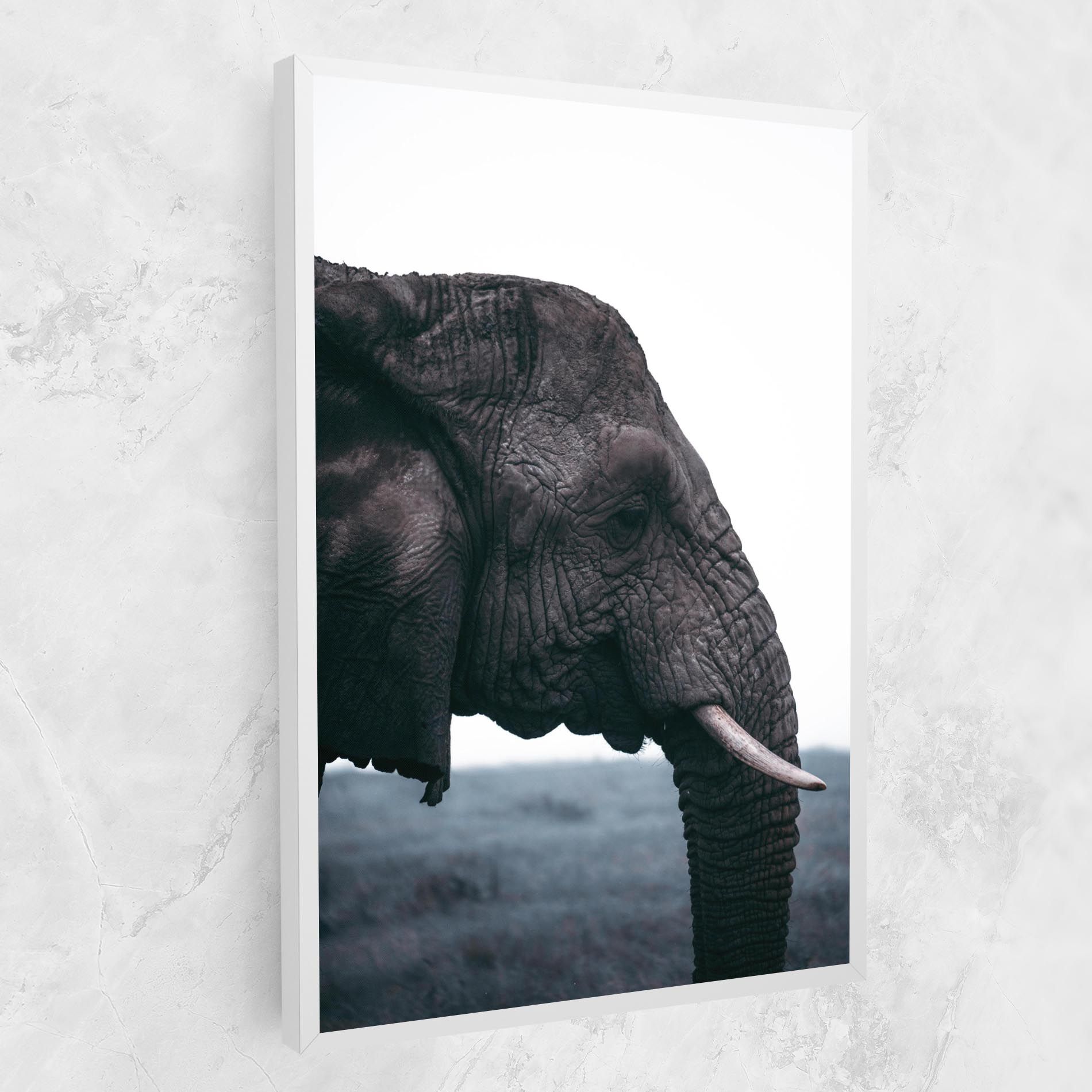 Close Grey Eelephant mockup 1
