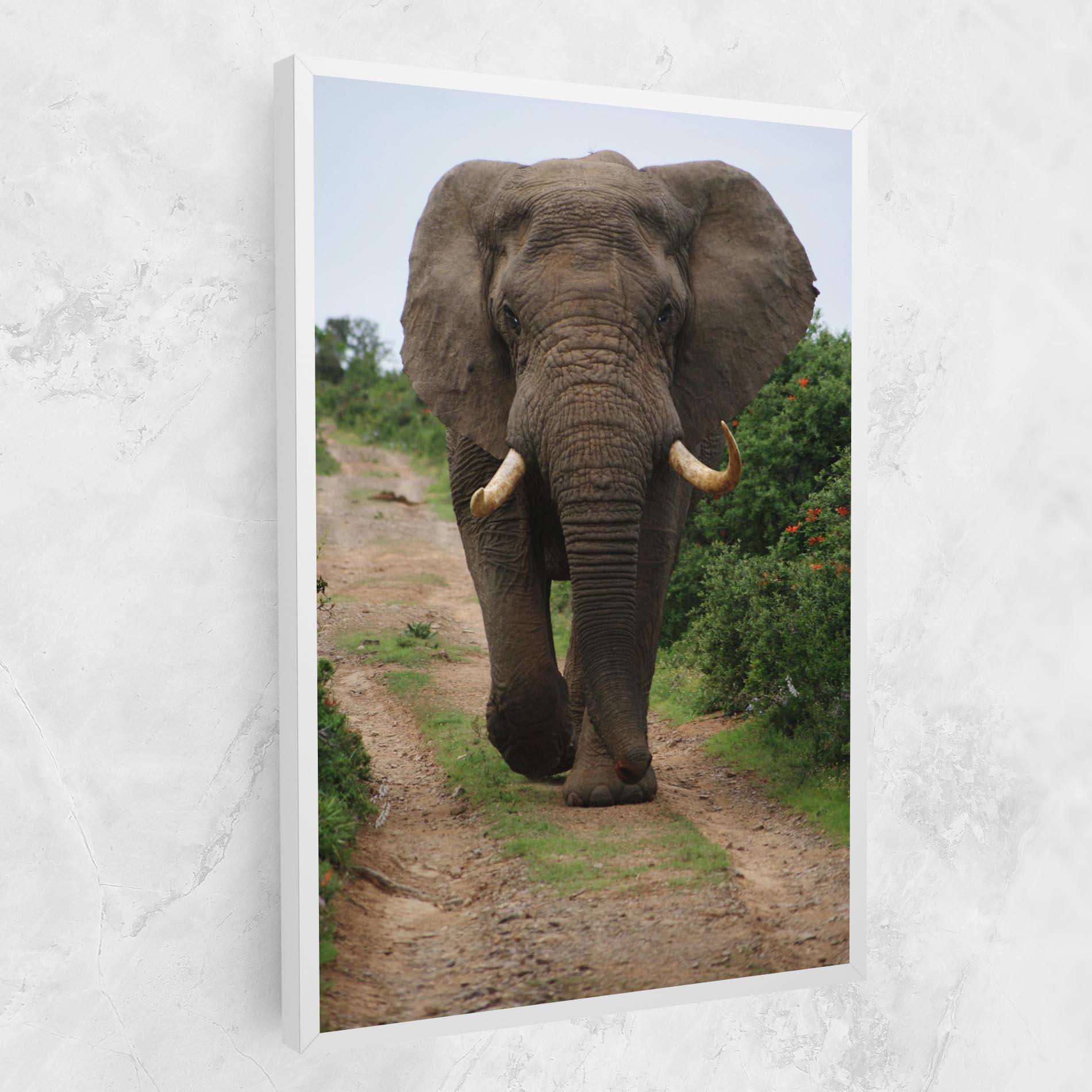 Tablou Canvas Elephant Safari mockup 1