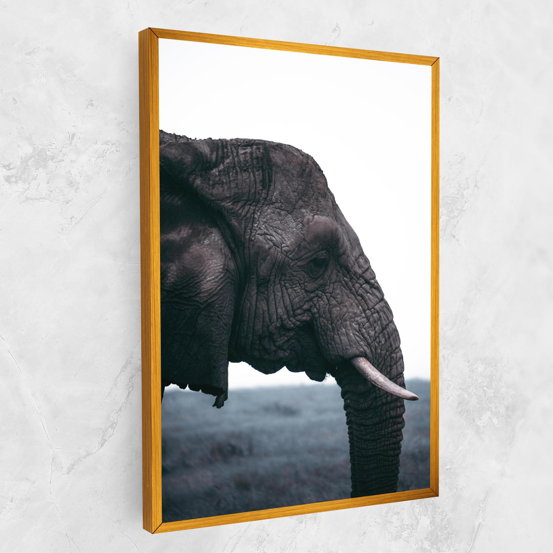 Tablou Canvas Close Grey Eelephant mockup 1