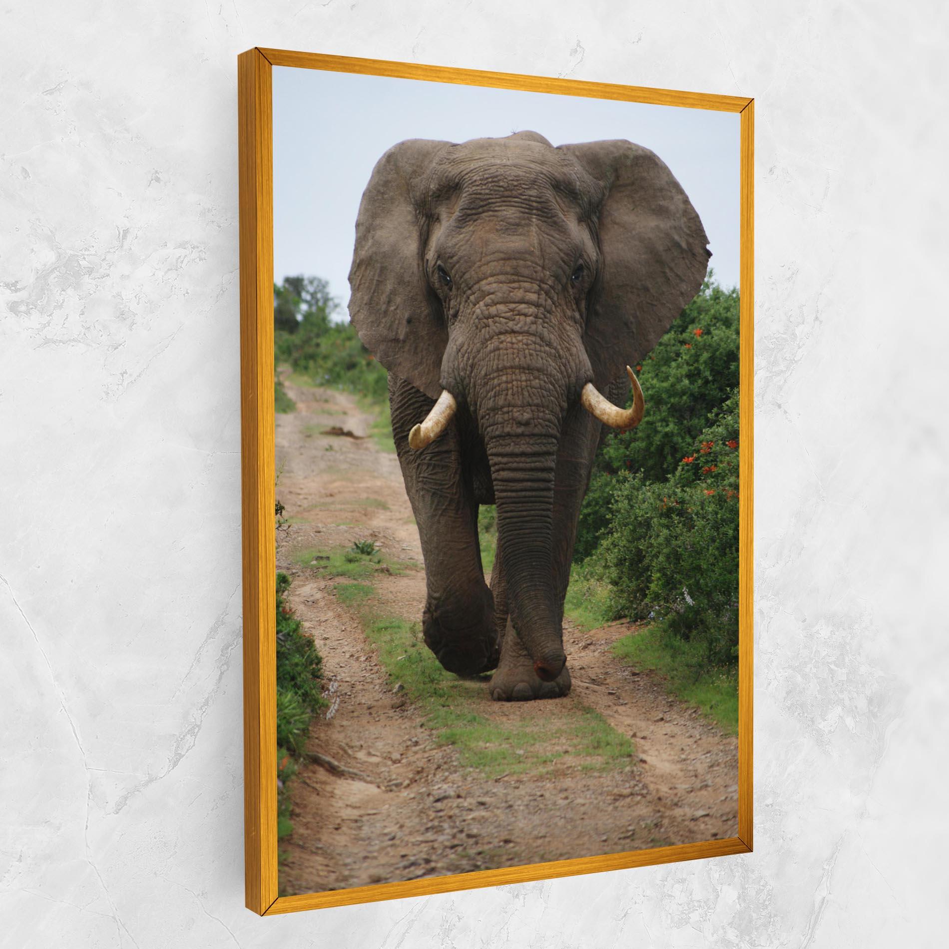 Tablou Canvas Elephant Safari mockup 1
