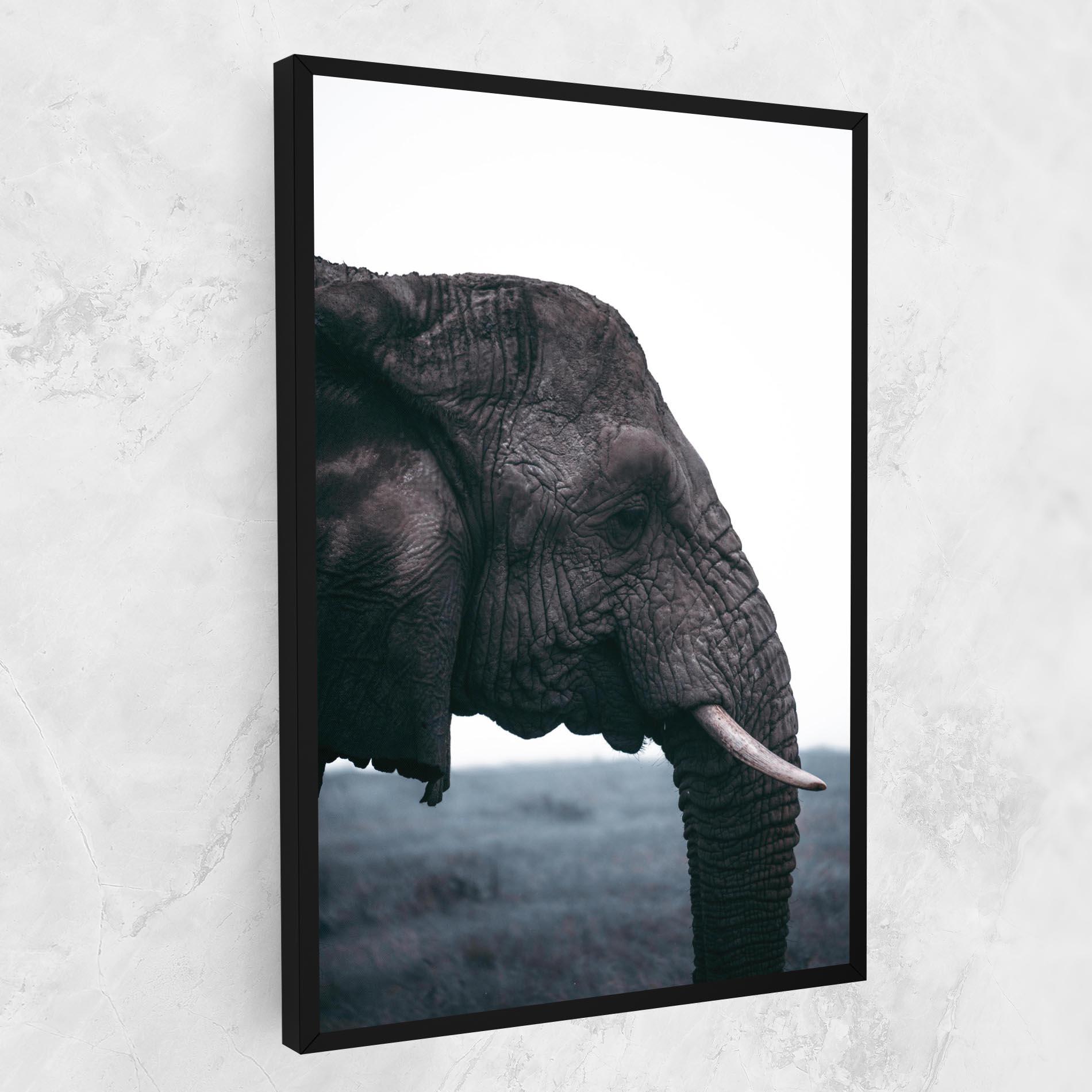 Tablou Canvas Close Grey Eelephant mockup 1
