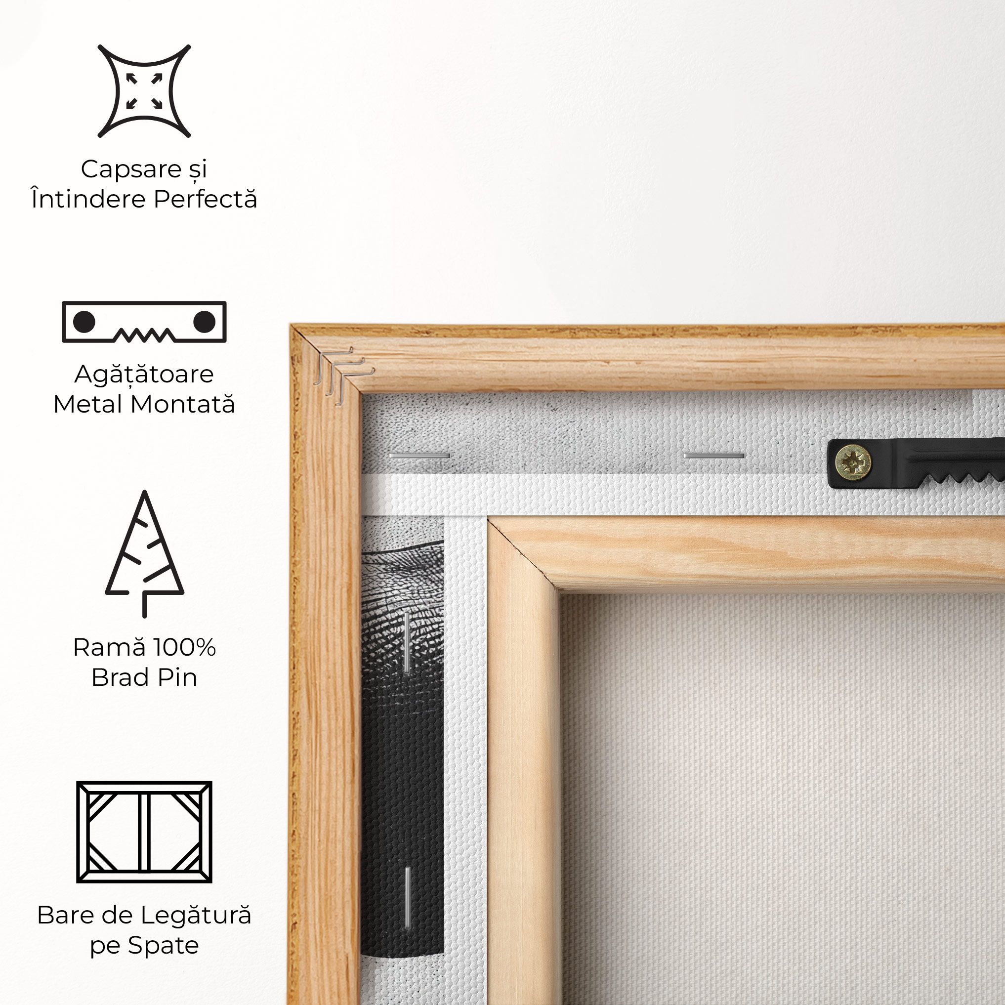 Baby Elephant mockup 5