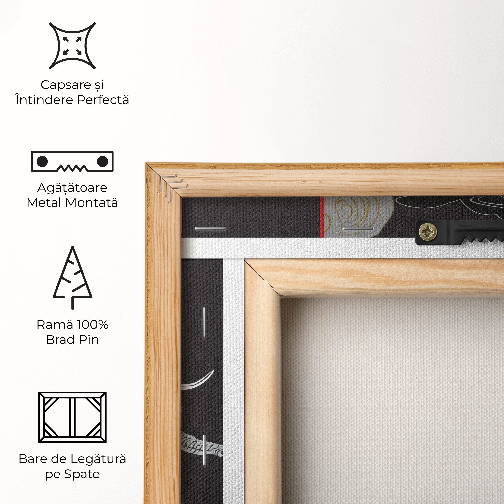 Elephant Asia mockup 5