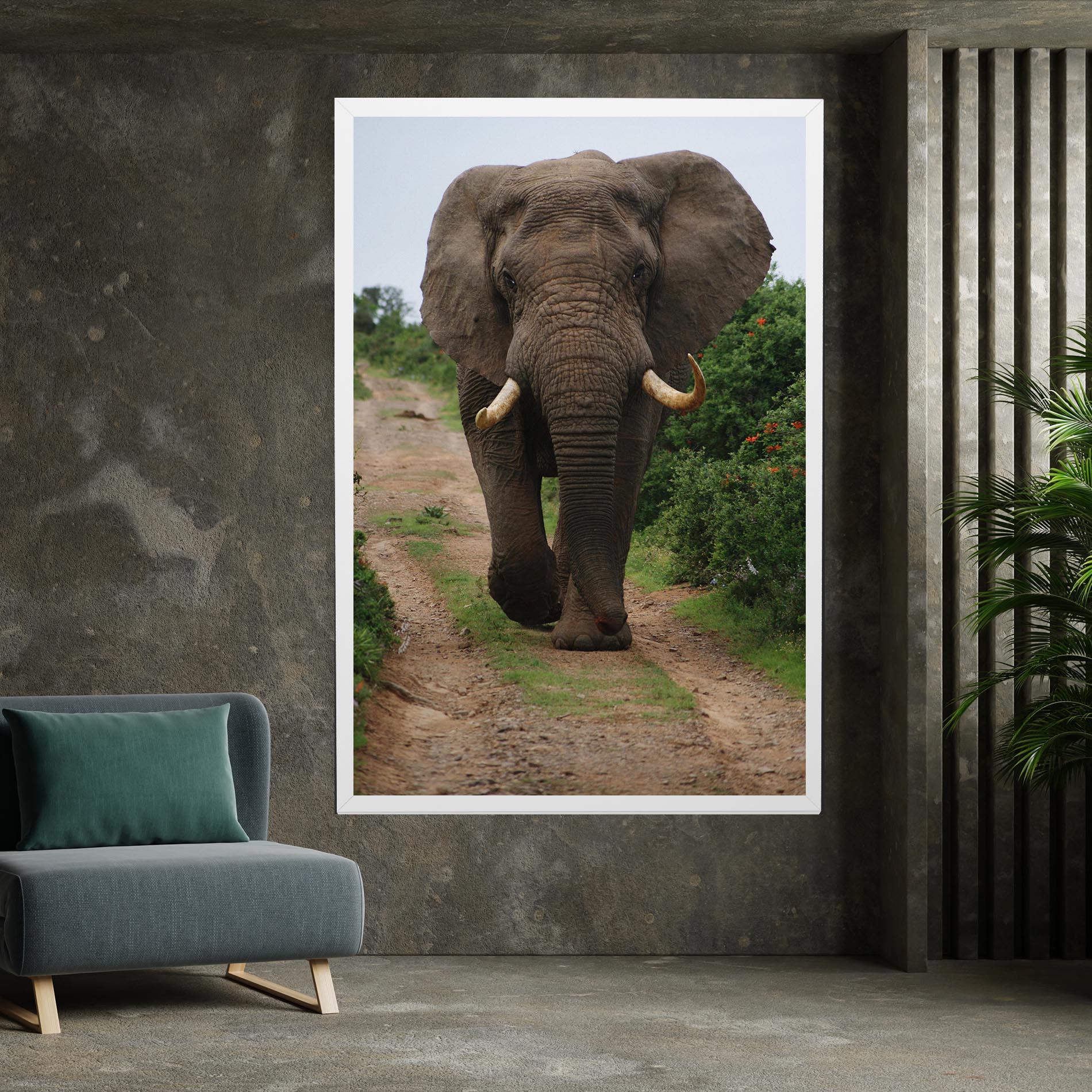 Tablou Canvas Elephant Safari mockup 7