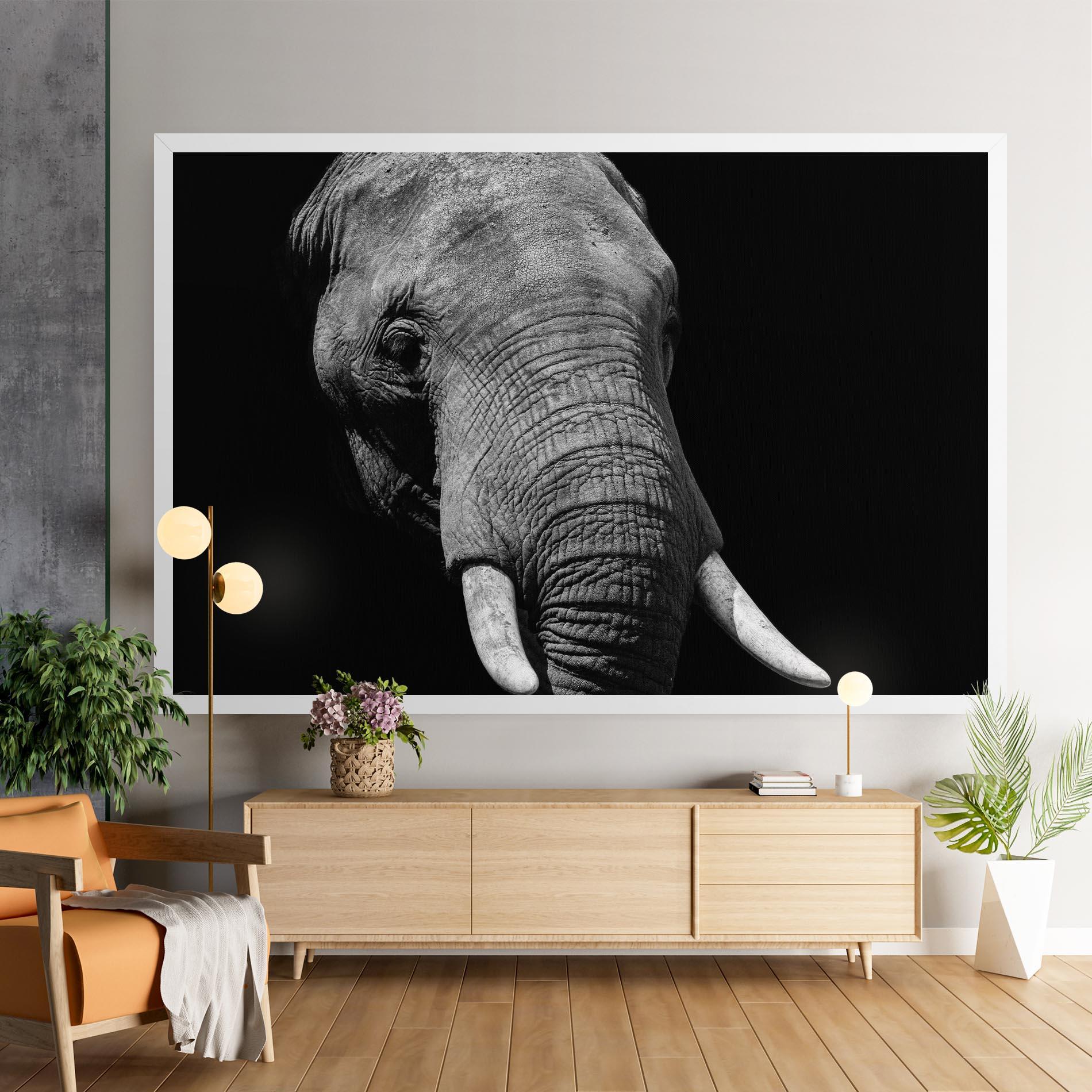 Tablou Canvas Shadow Elephant mockup 9