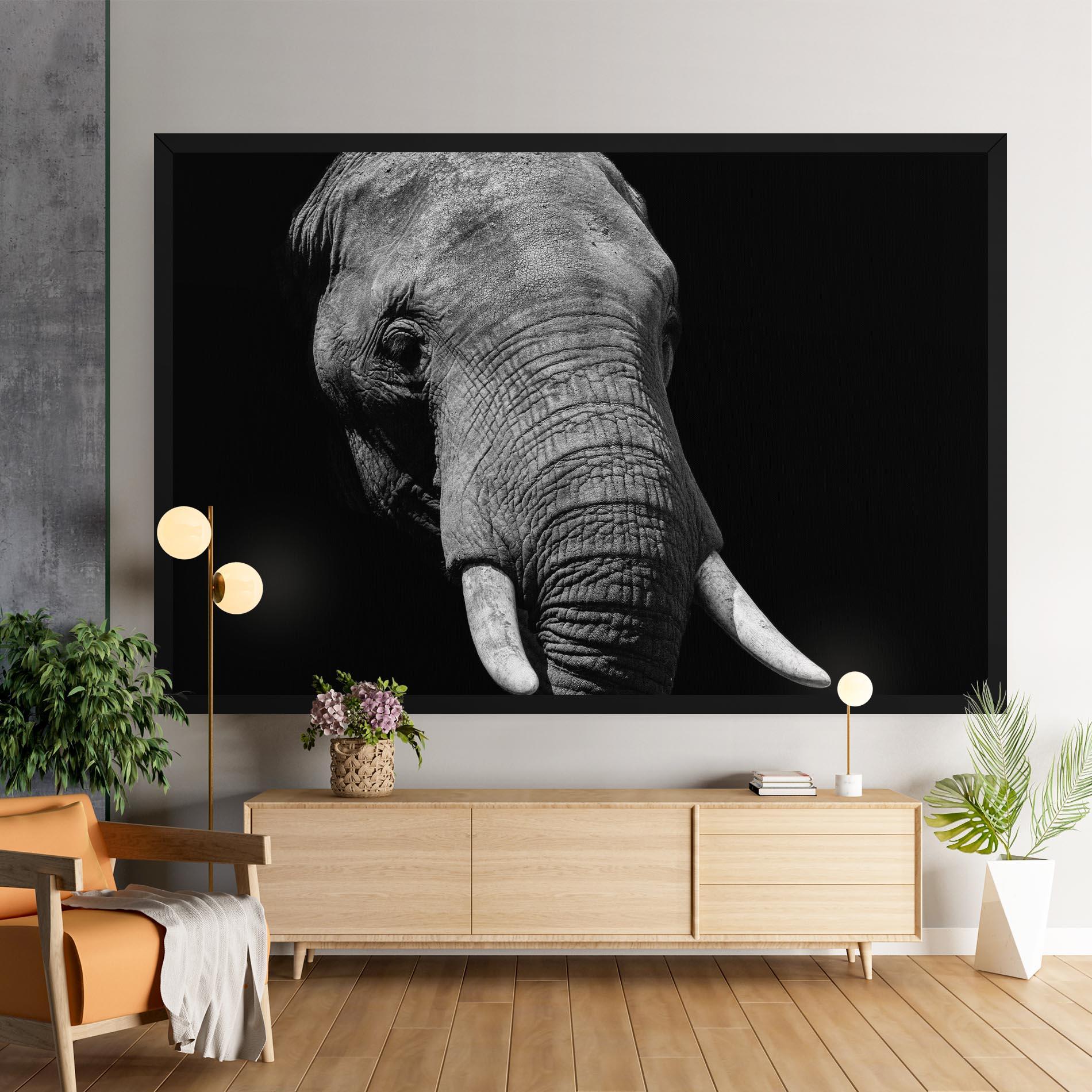 Tablou Canvas Shadow Elephant mockup 9