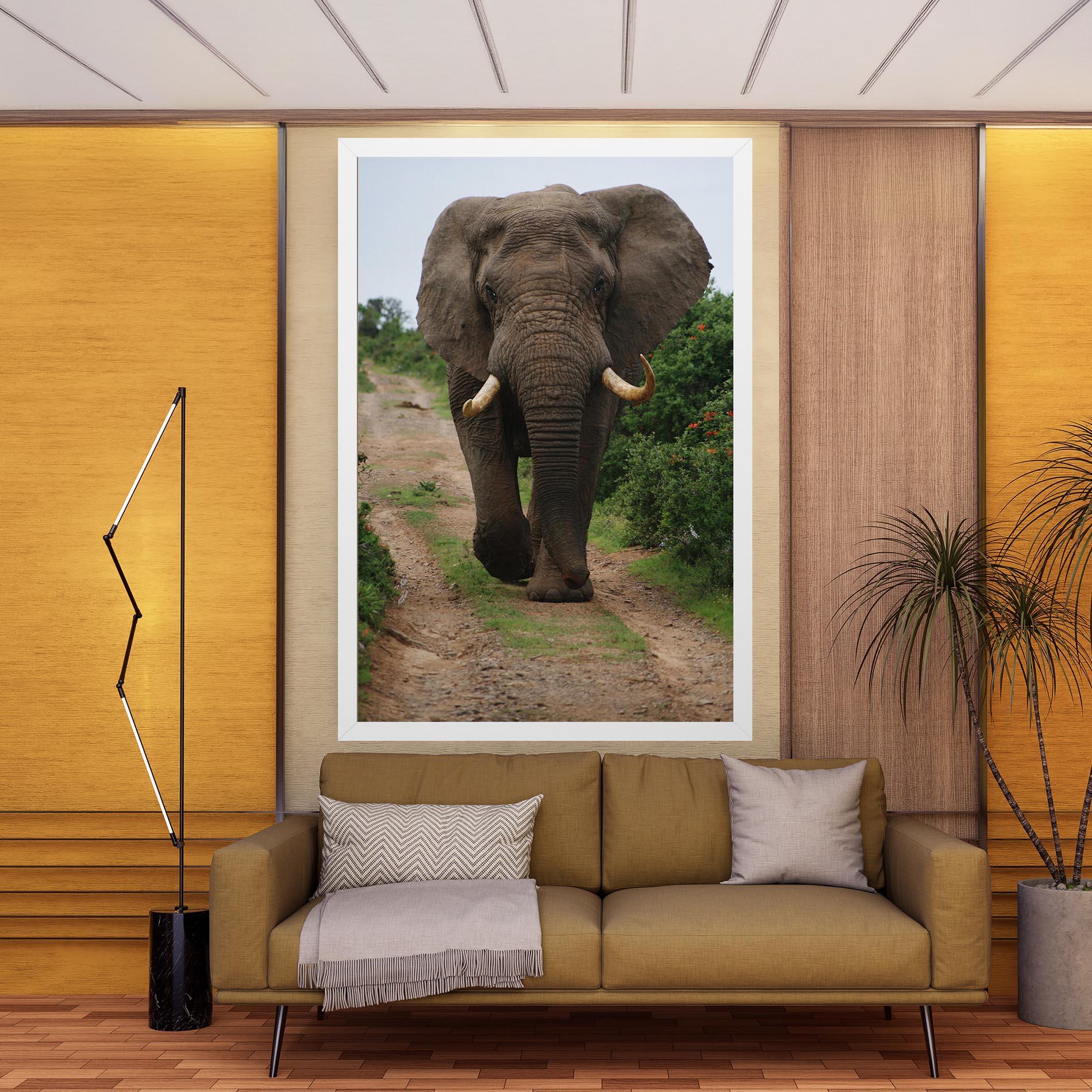 Tablou Canvas Elephant Safari mockup 9