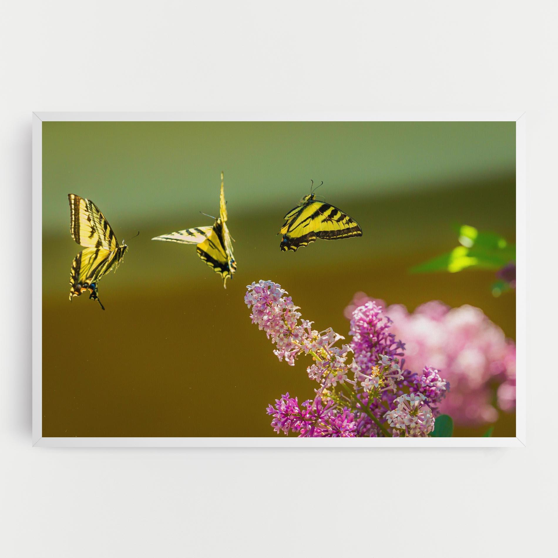 Tablou Canvas 3 Yellow Butterflies mockup 0