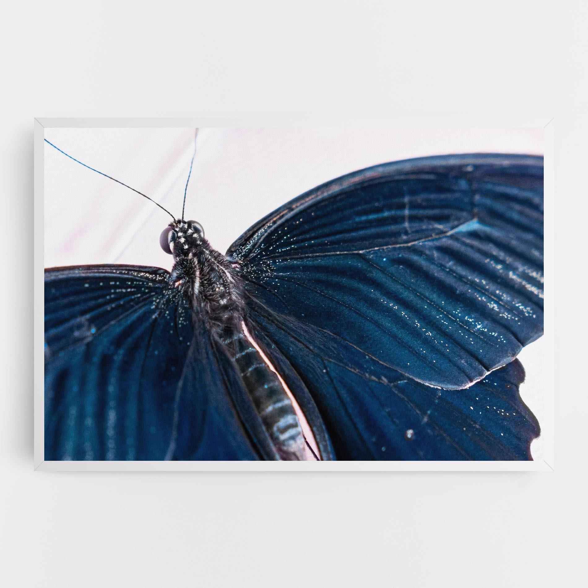 Tablou Canvas Blue Butterfly mockup 0